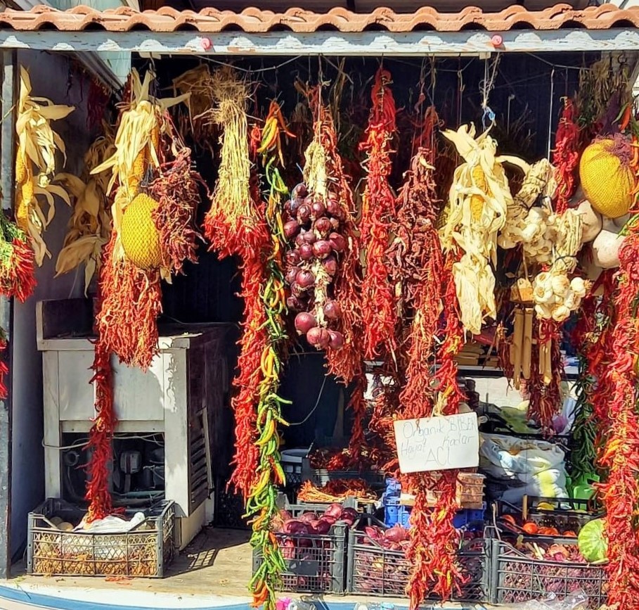 Три столицы Османской империи: Бурса, Эдирне, Стамбул + легенды Трои (14/44)