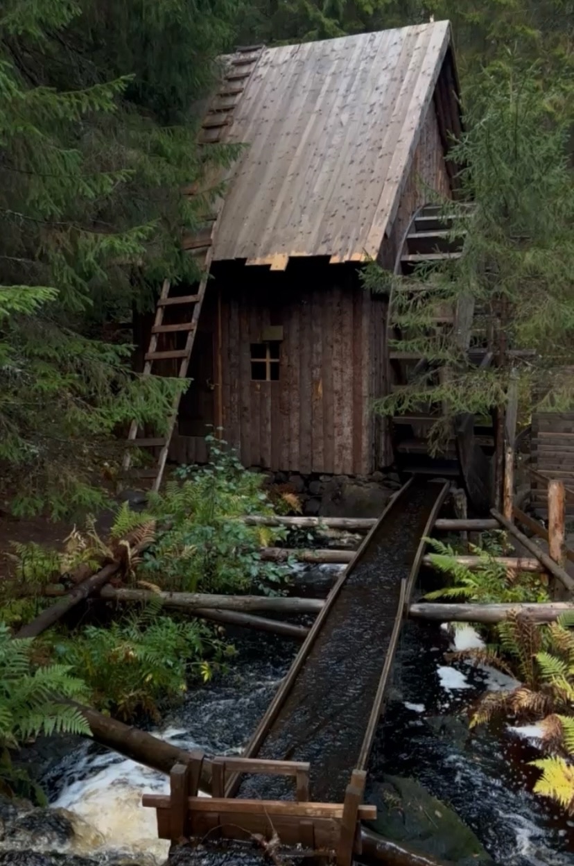 Сила Природы и Спа: открой для себя Карелию за выходные (15/19)