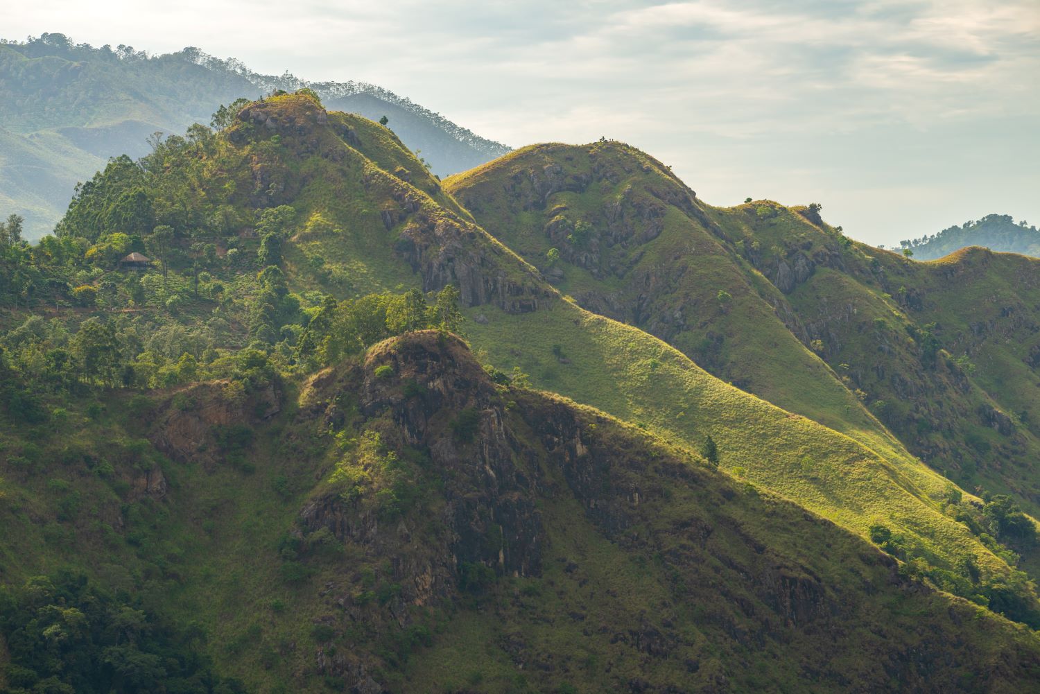 Чарующая Красота Гор Шри Ланкийский и Дикая Природа. (16/34)