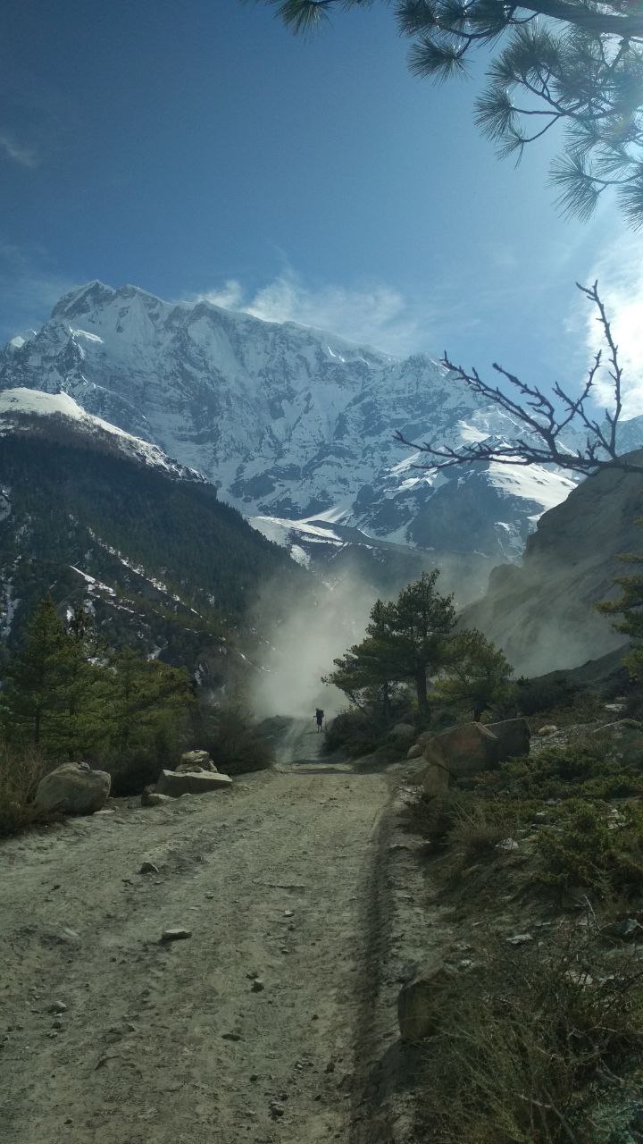 Трекинг вокруг Аннапурны +нац.парк Читван (18/55)