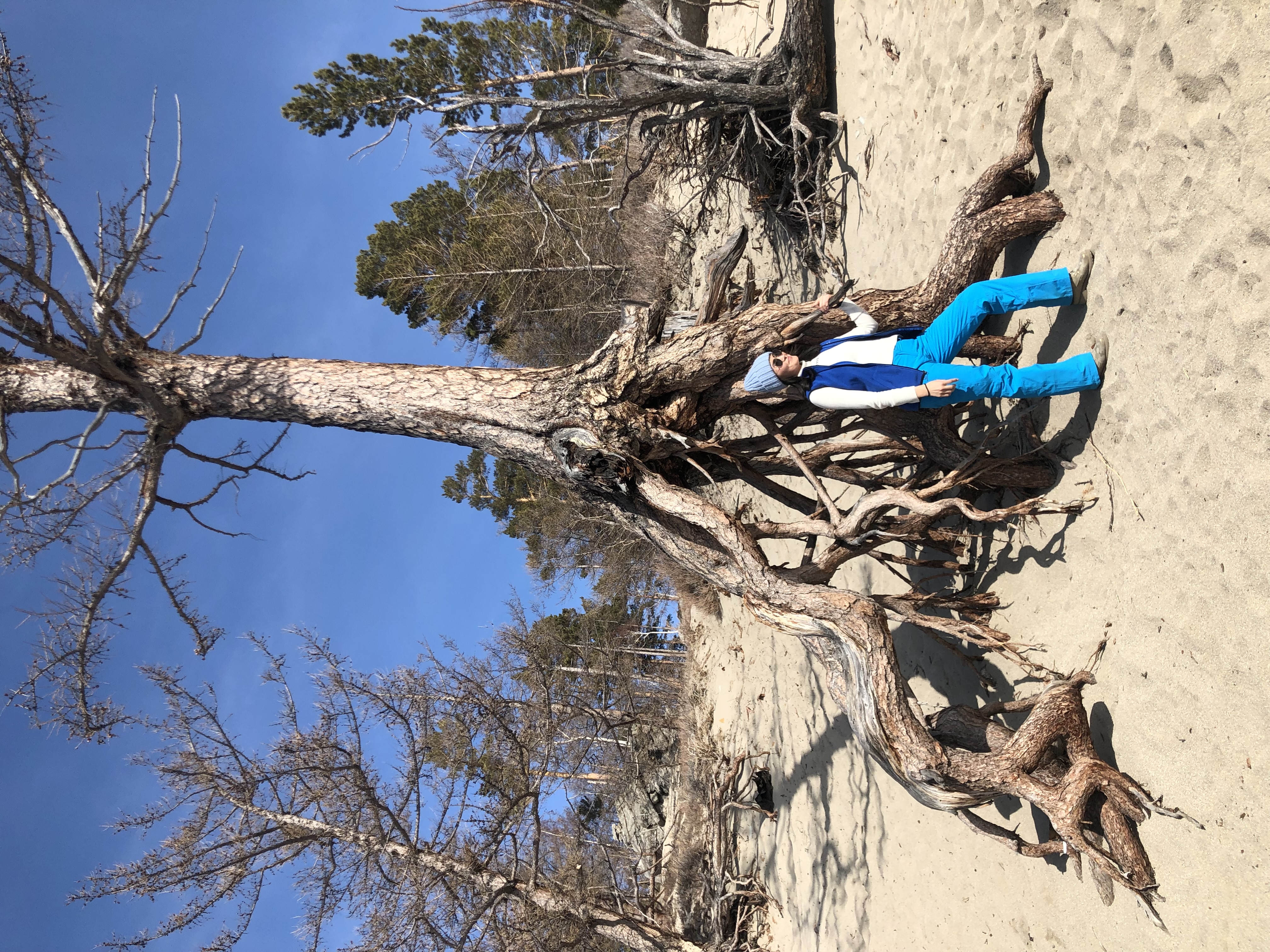 Ледовый экспресс (7/26)