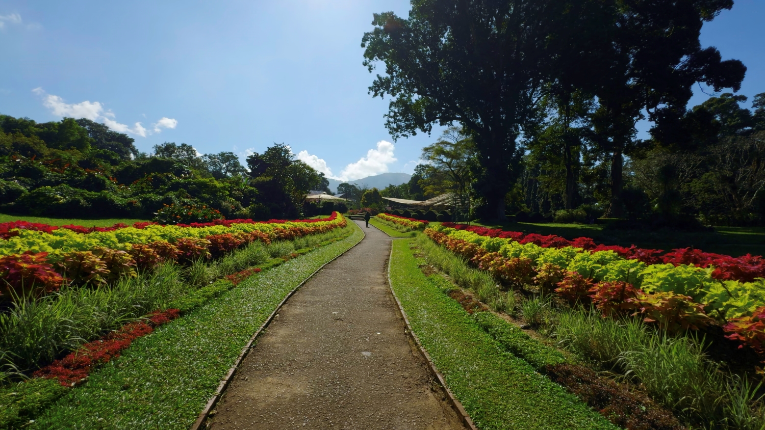 Чарующая Красота Гор Шри Ланкийский и Дикая Природа. (6/34)