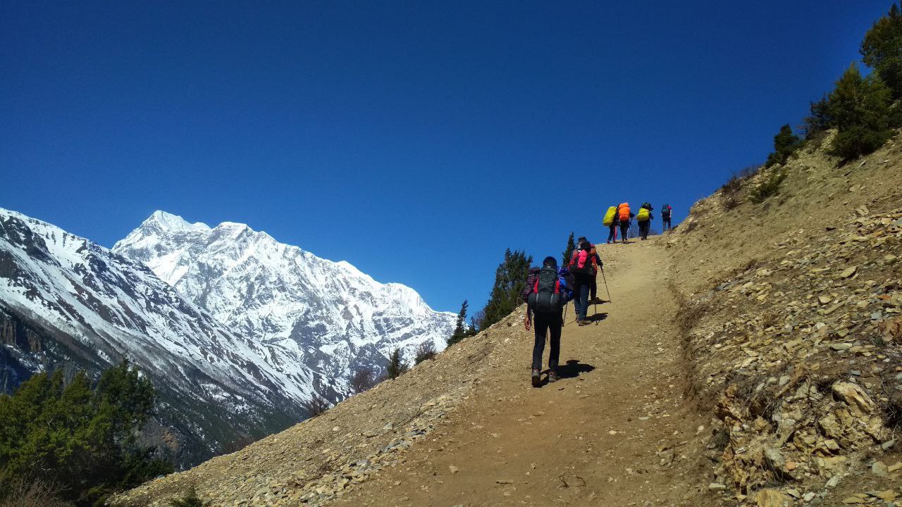 Трекинг вокруг Аннапурны +нац.парк Читван (11/55)