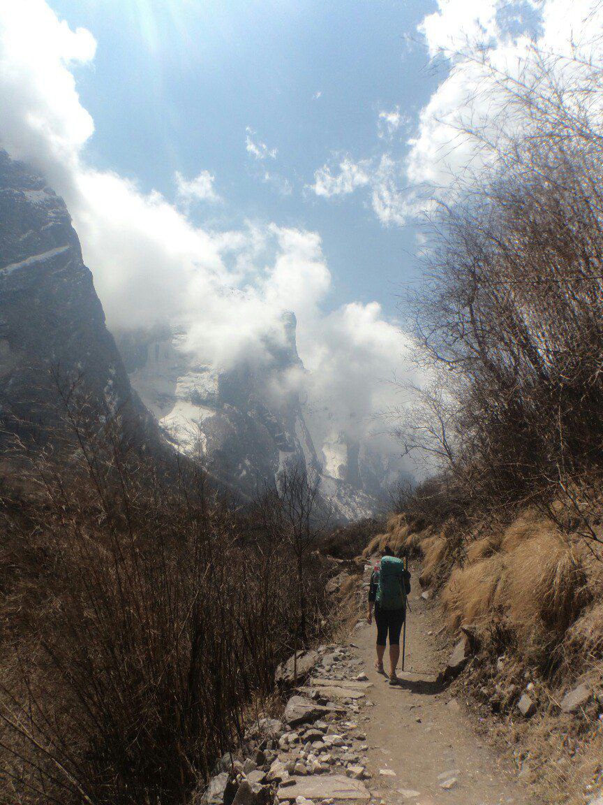 Трекинг вокруг Аннапурны +нац.парк Читван (9/55)