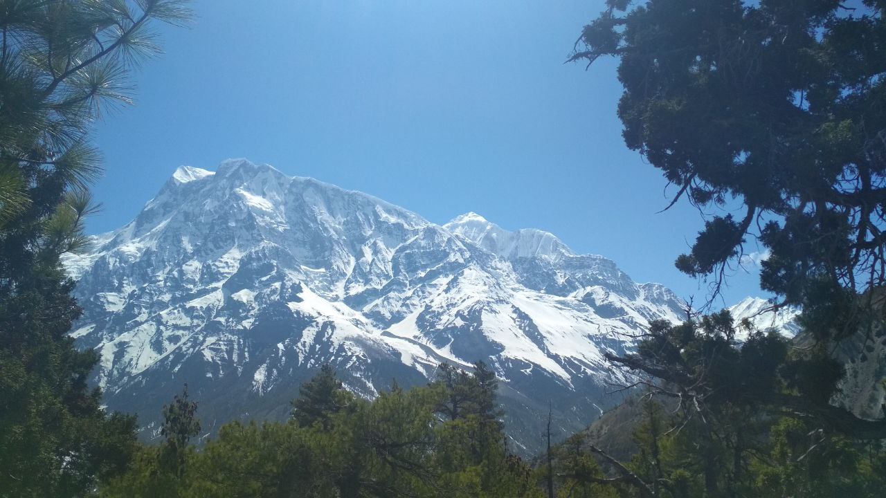 Трекинг вокруг Аннапурны +нац.парк Читван (17/55)