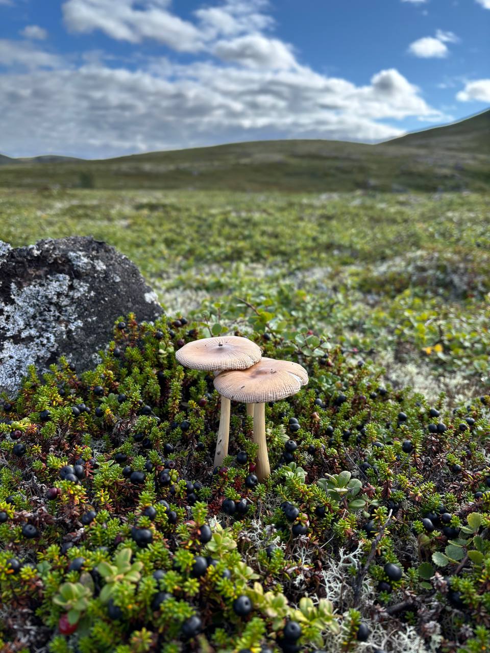 Териберка: место, где северный край встречается с теплом сердца. (5/11)