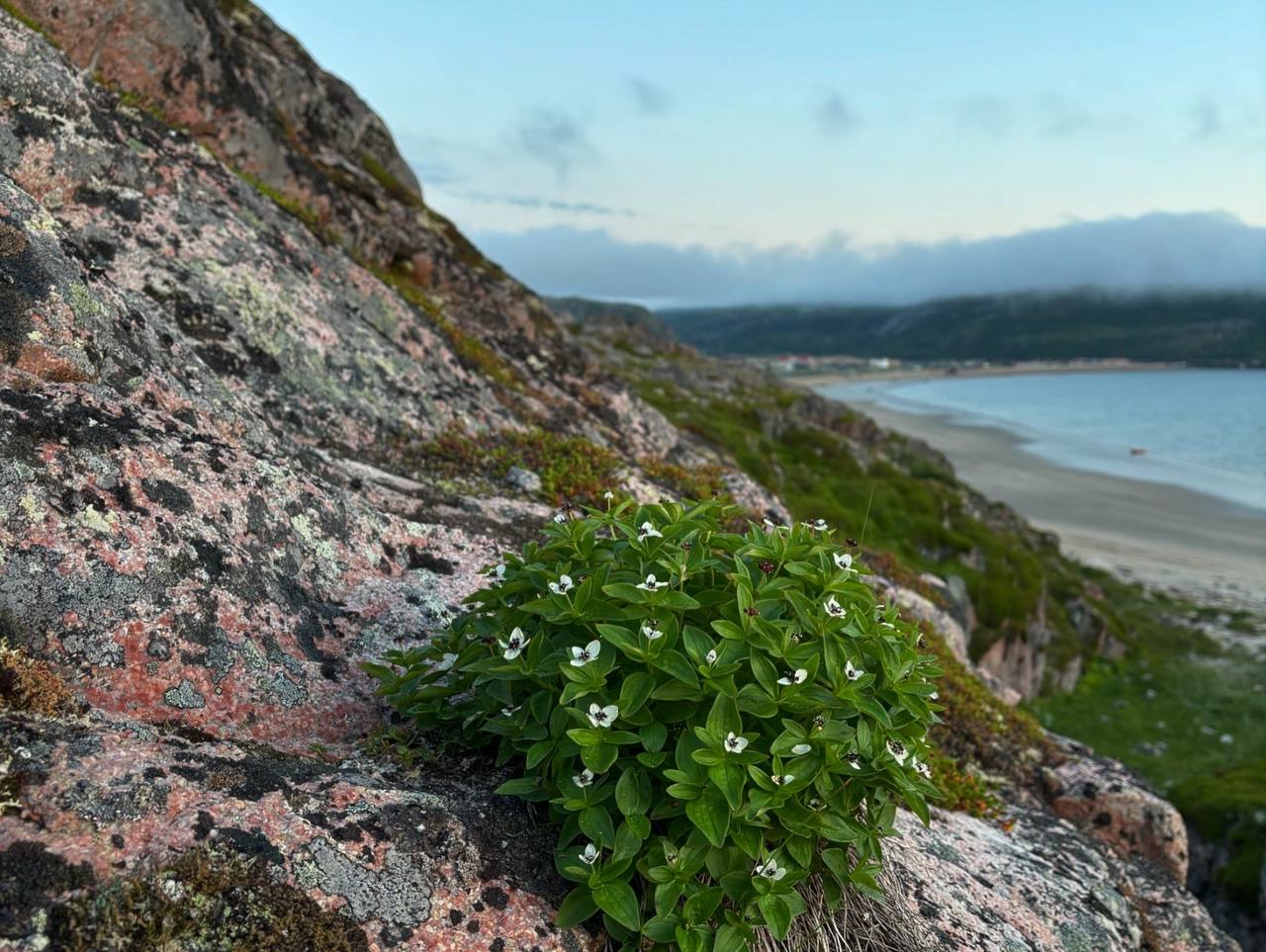 Киты зовут: открой для себя таинственные глубины! (5/9)