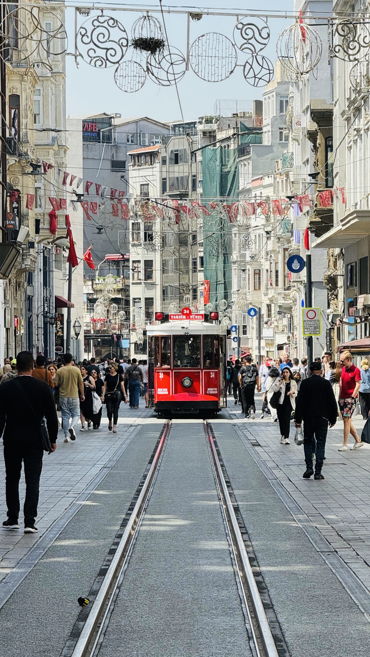 Ну что, начнем отсчет Стамбульских котиков?