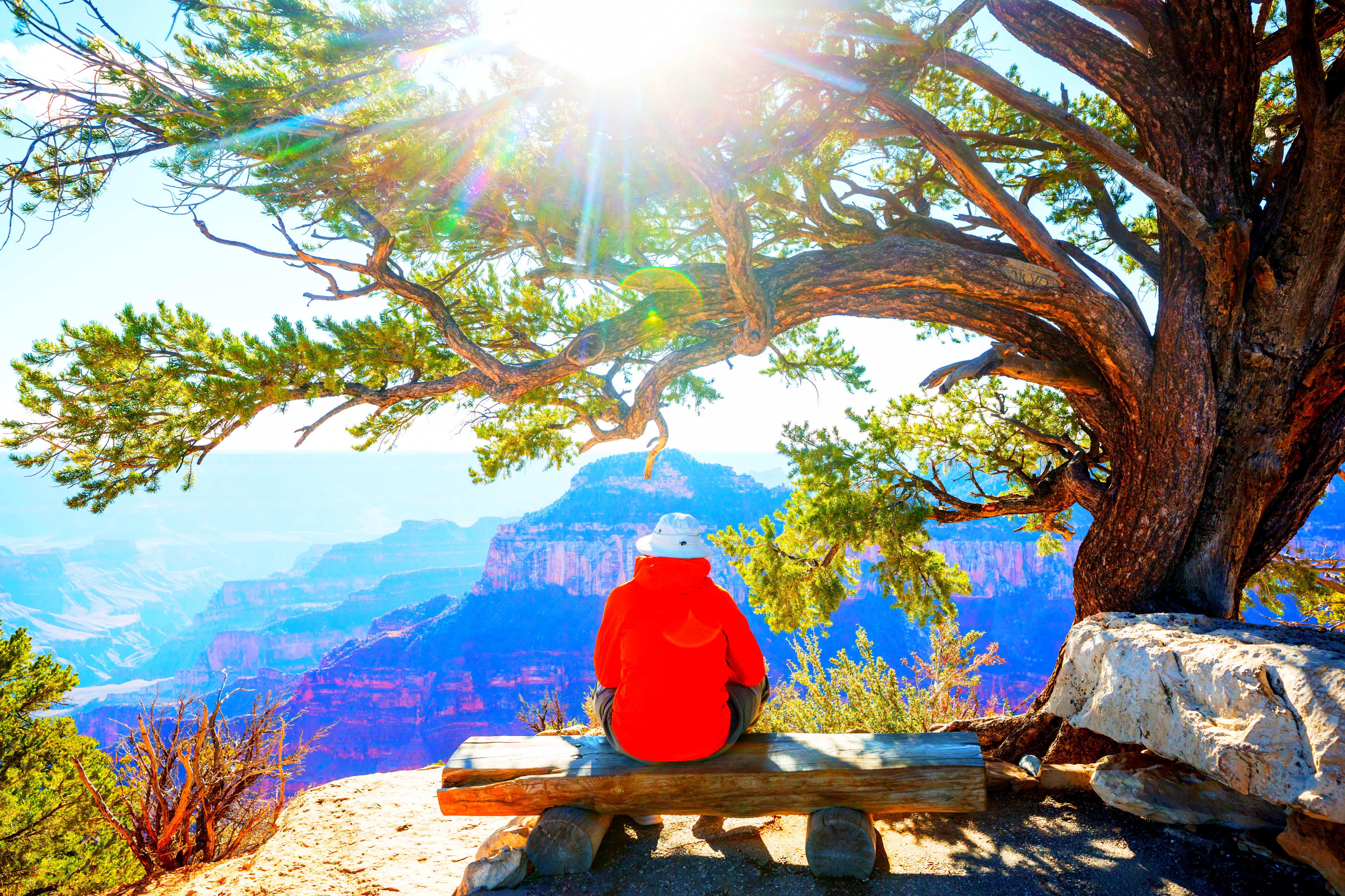 Сша: дыхание Дикого Запада (6/65)