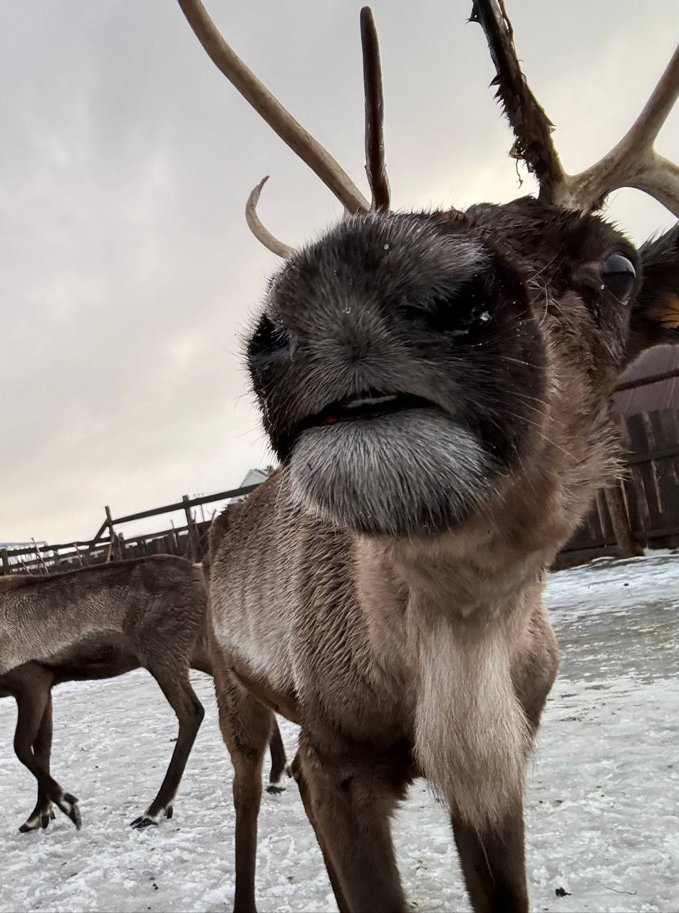 Териберка. Майские на максималку. Все включено: баня, море, рыбалка (4/58)