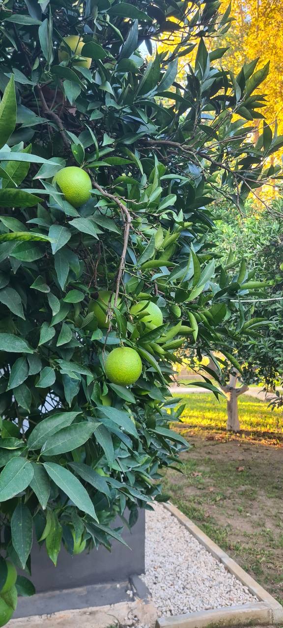 Активный тур Турция (4/35)