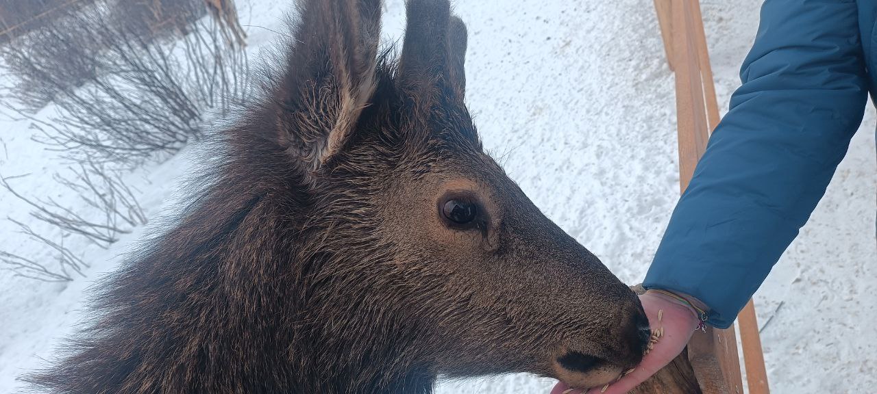 Путешествие через Байкал (36/67)