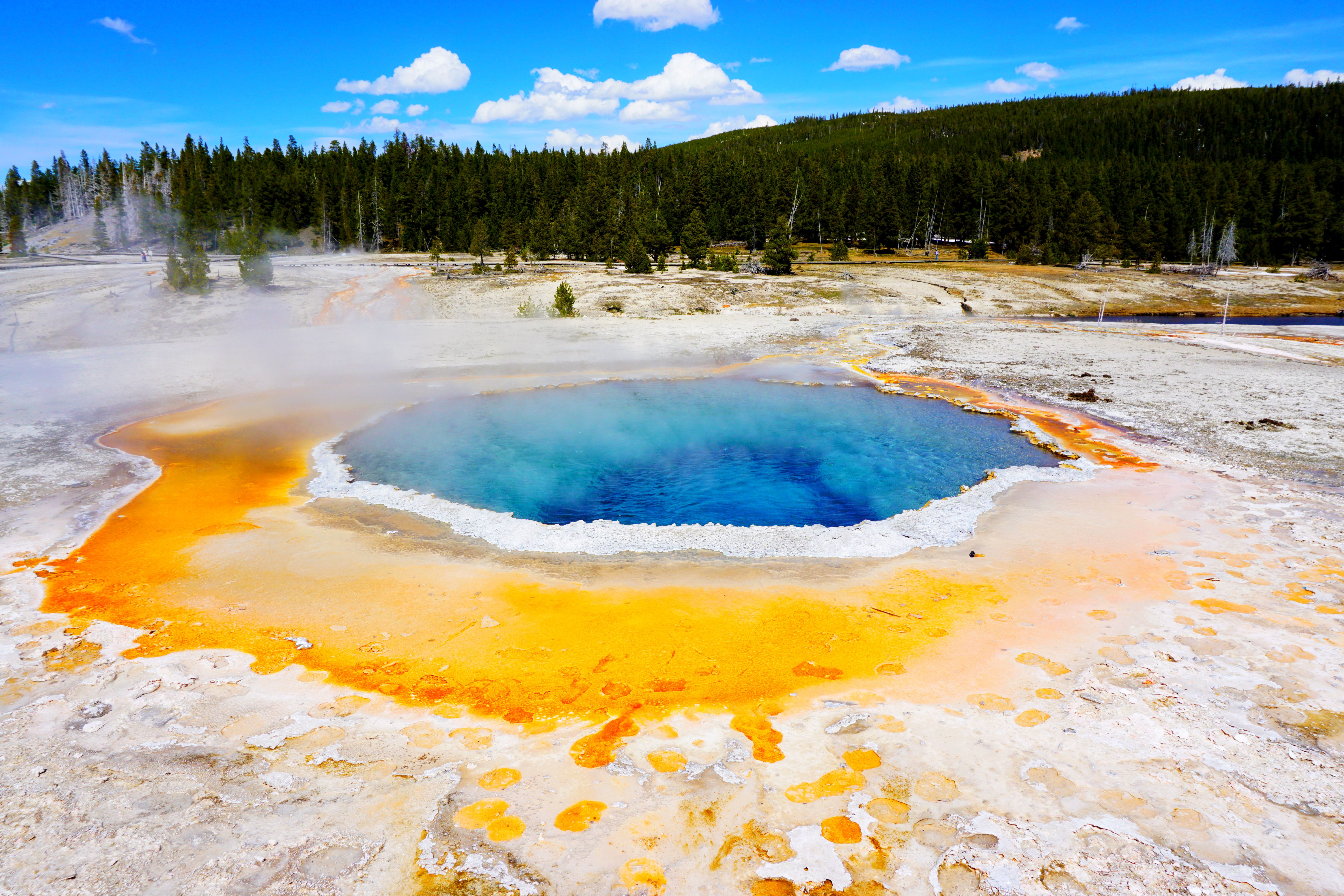 Сша: дыхание Дикого Запада (10/65)