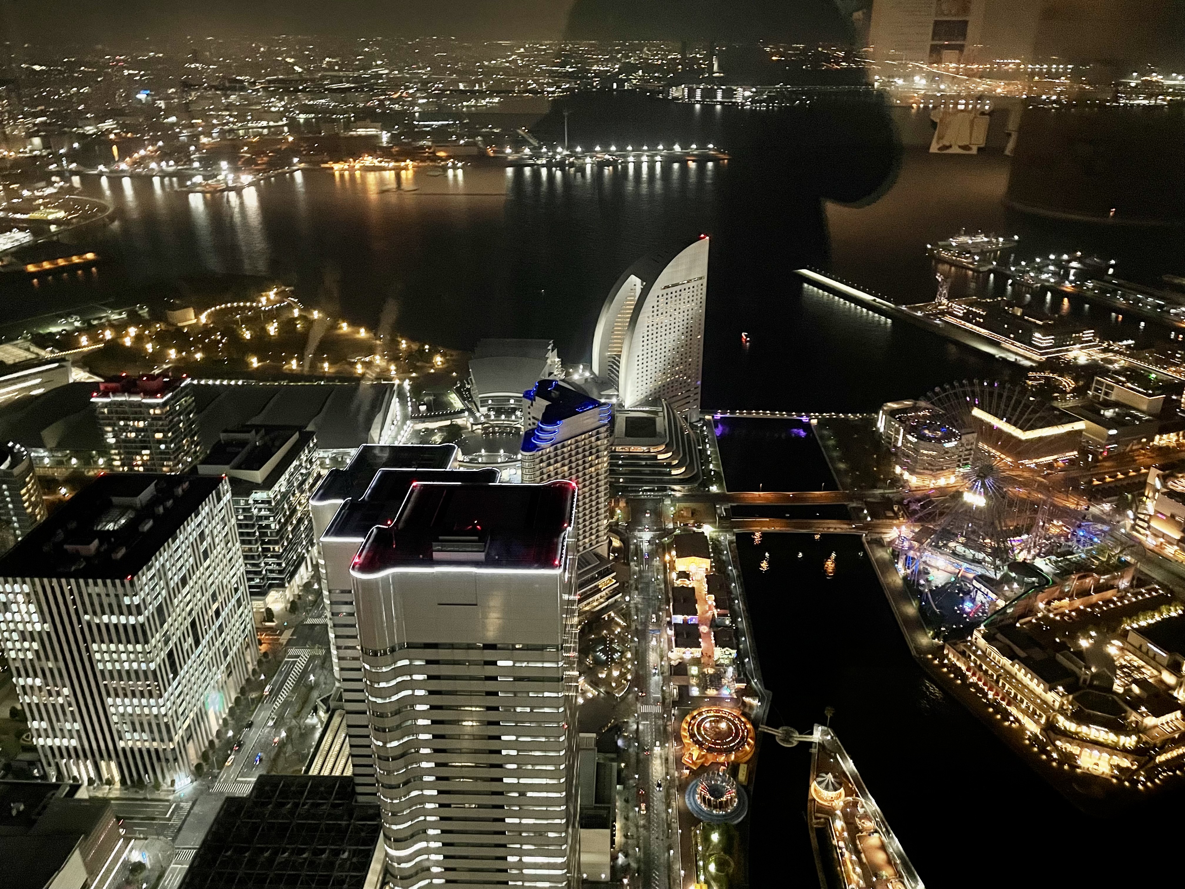 Новогодние каникулы в Японии:  5 городов, гора Фудзи (31/35)