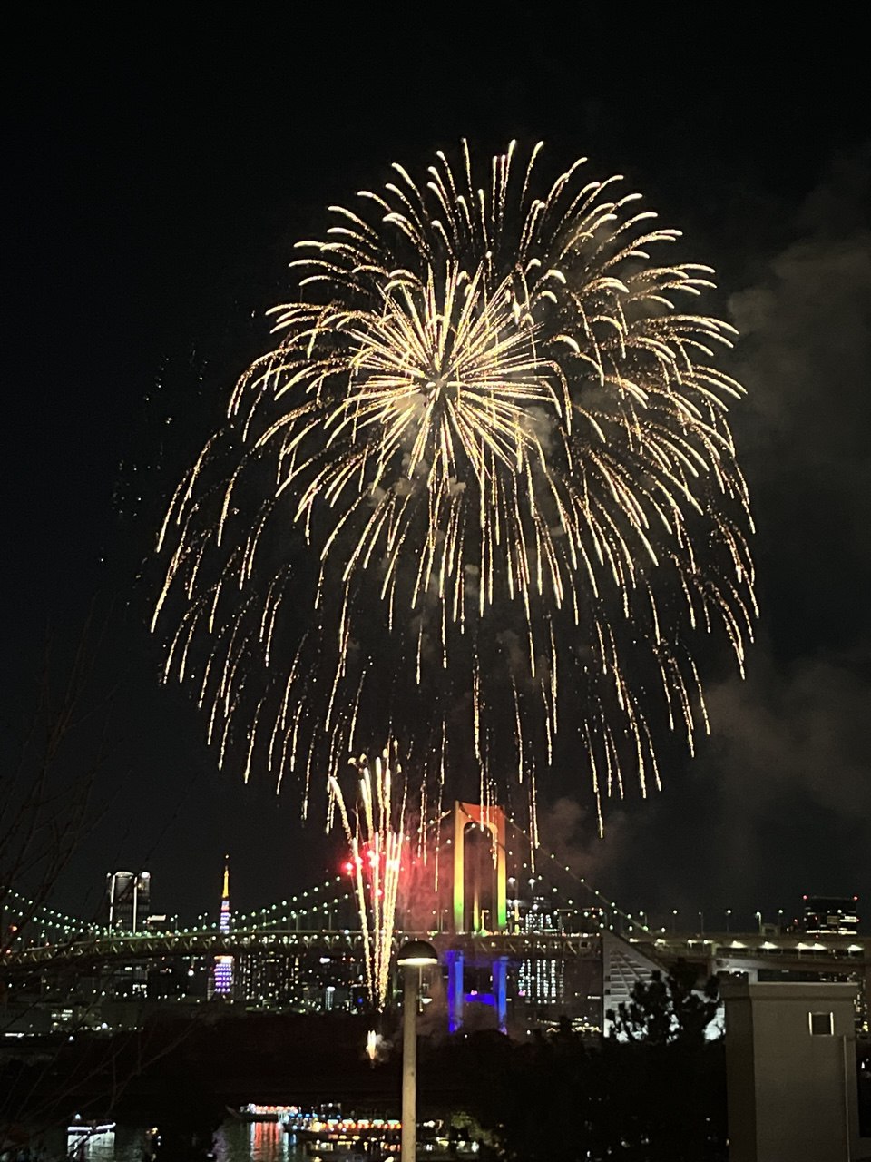 Новогодние каникулы в Японии:  5 городов, гора Фудзи (17/35)