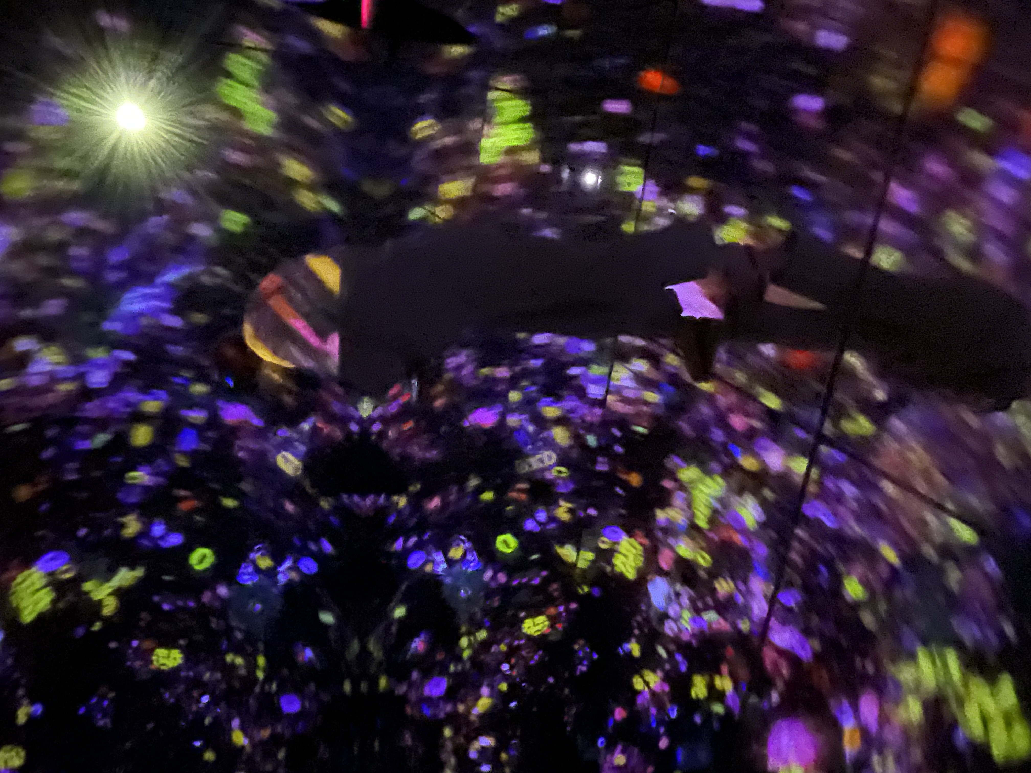 Новогодние каникулы в Японии:  5 городов, гора Фудзи (29/35)