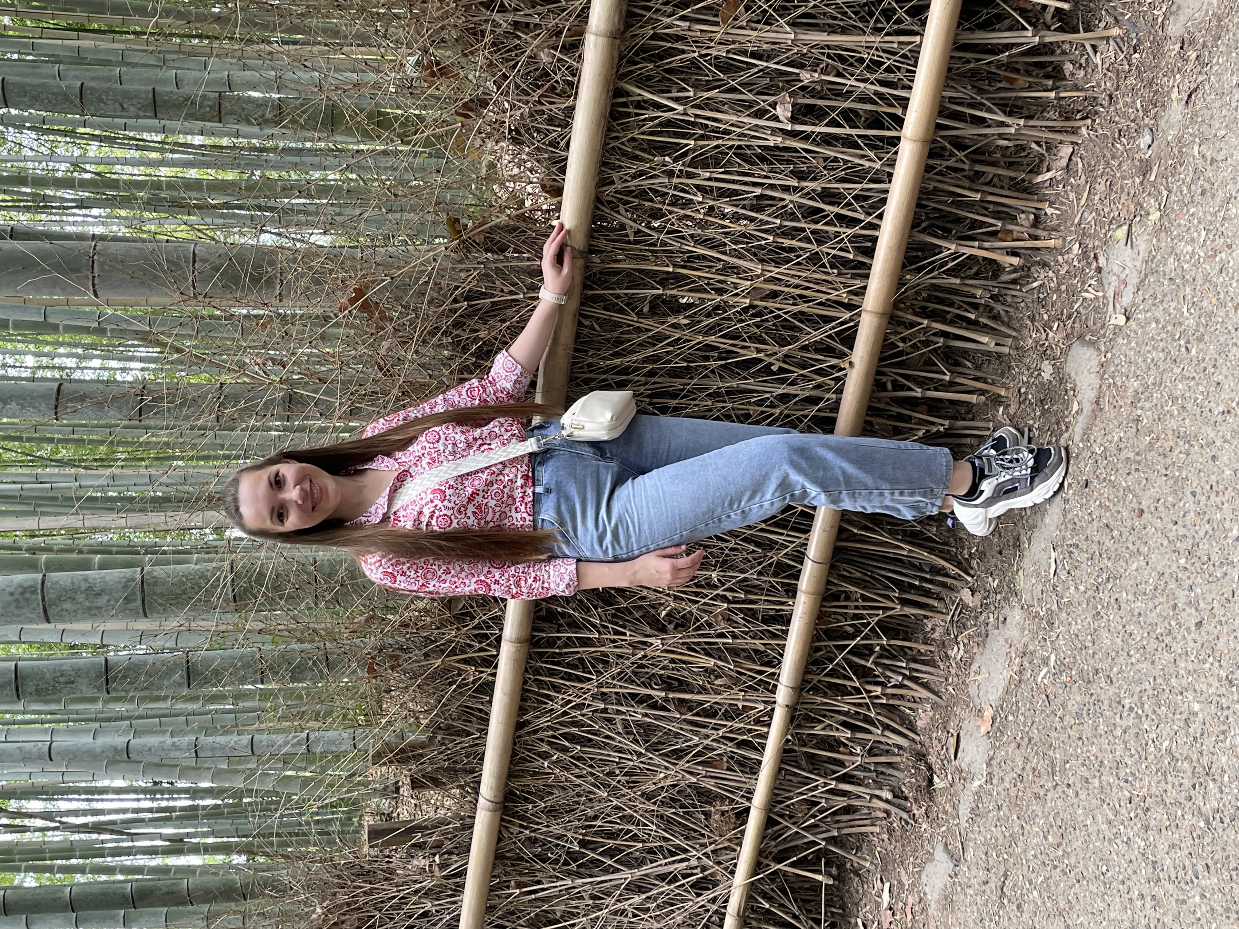 Новогодние каникулы в Японии:  5 городов, гора Фудзи (33/35)