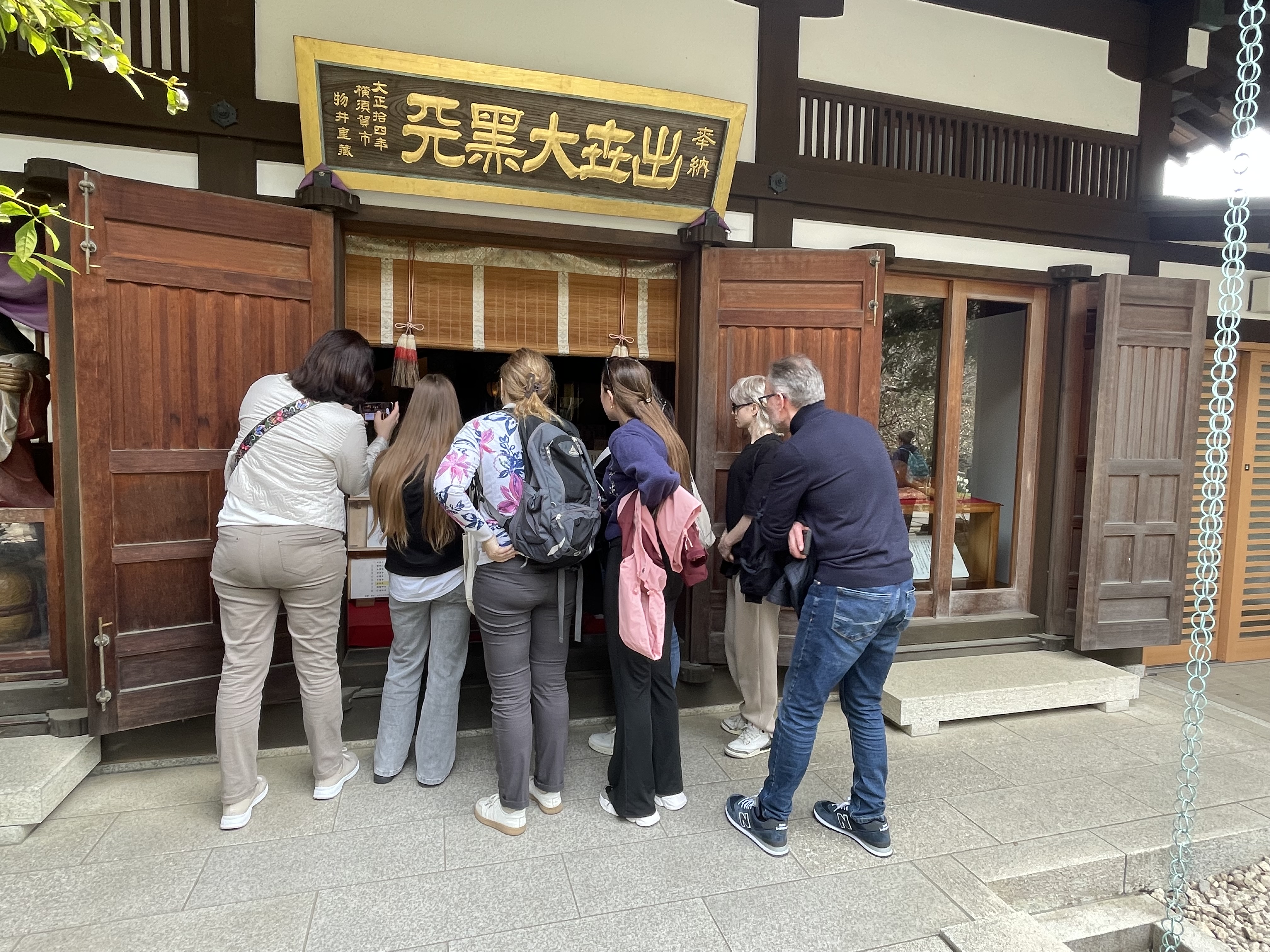 Новогодние каникулы в Японии:  5 городов, гора Фудзи (27/35)