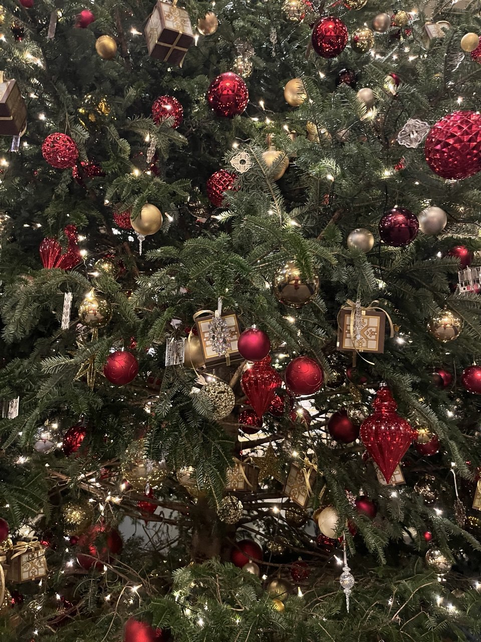 Новогодние каникулы в Японии:  5 городов, гора Фудзи (12/35)