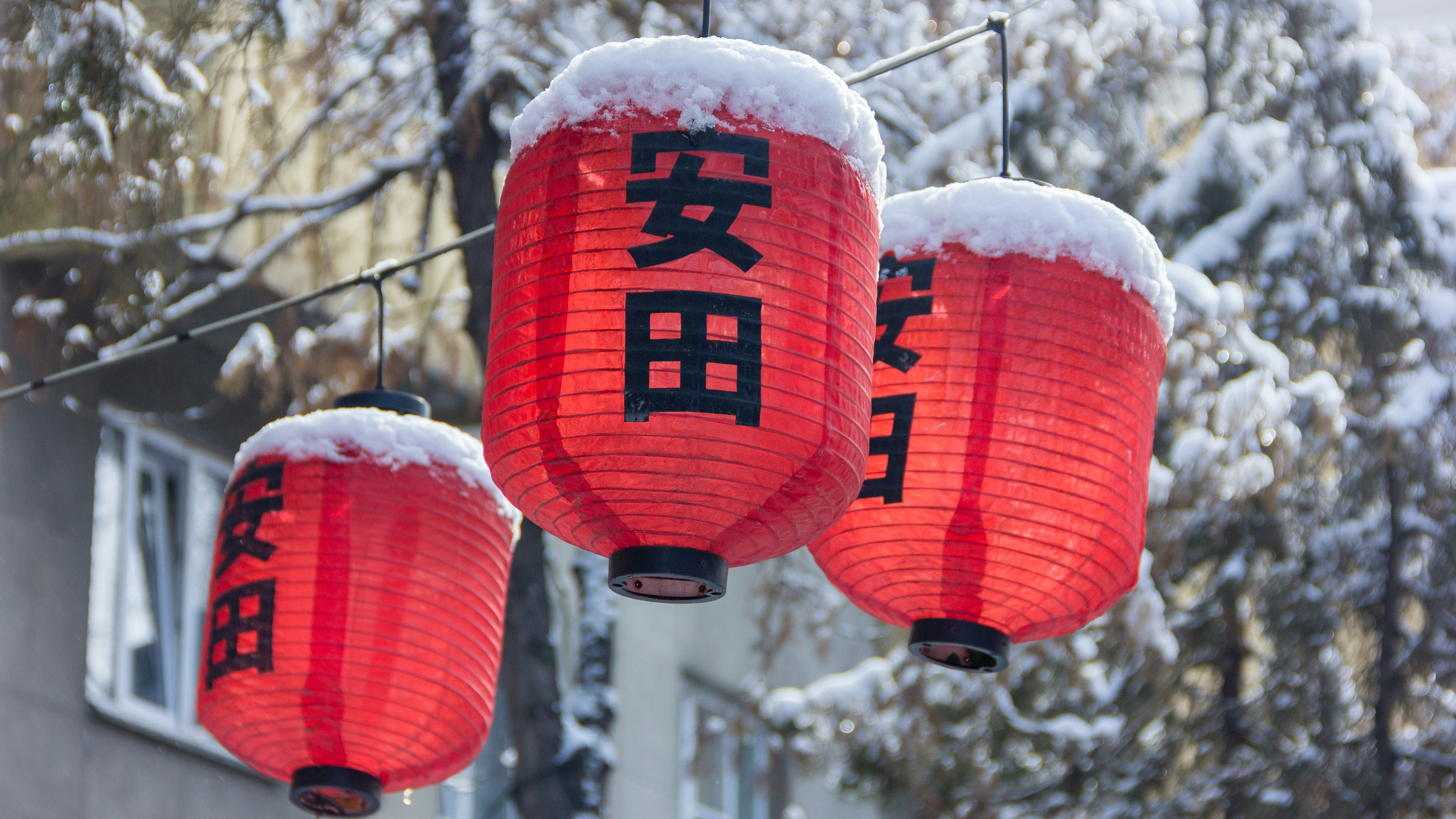 Новогодние каникулы в Японии:  5 городов, гора Фудзи (5/35)