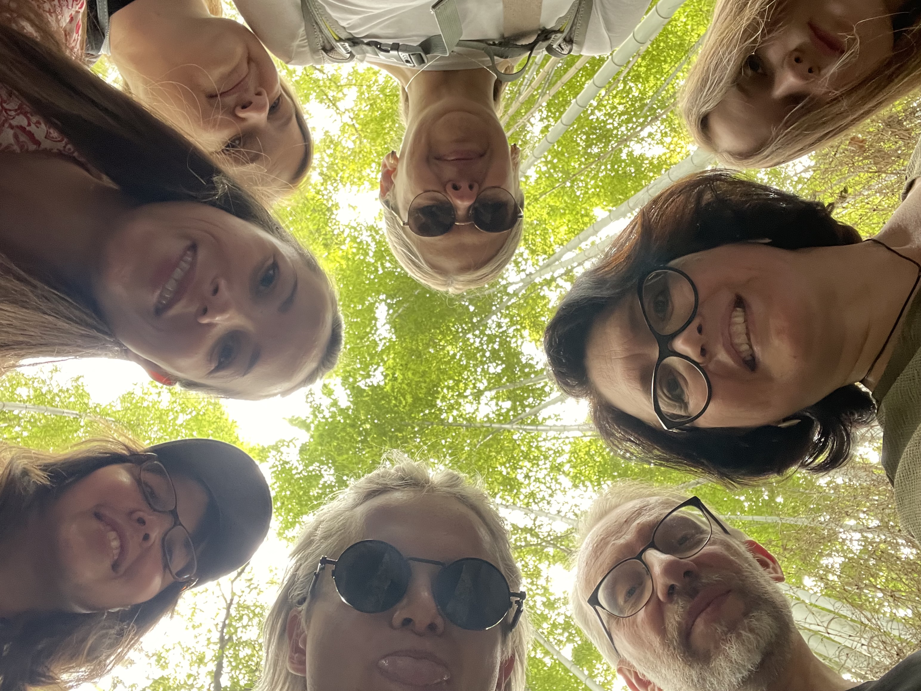 Новогодние каникулы в Японии:  5 городов, гора Фудзи (30/35)