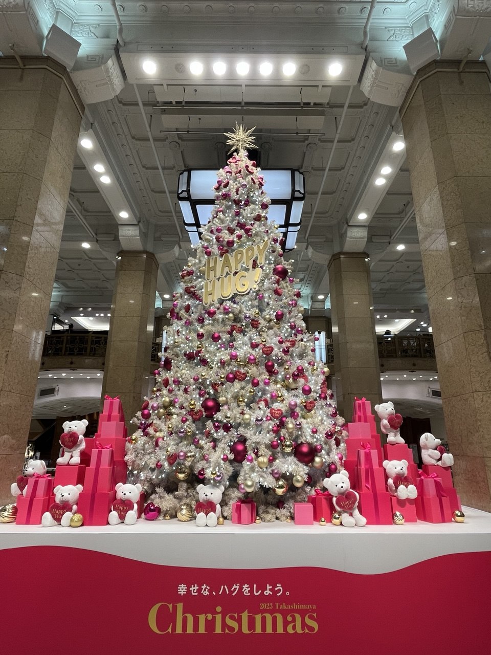 Новогодние каникулы в Японии:  5 городов, гора Фудзи (13/35)