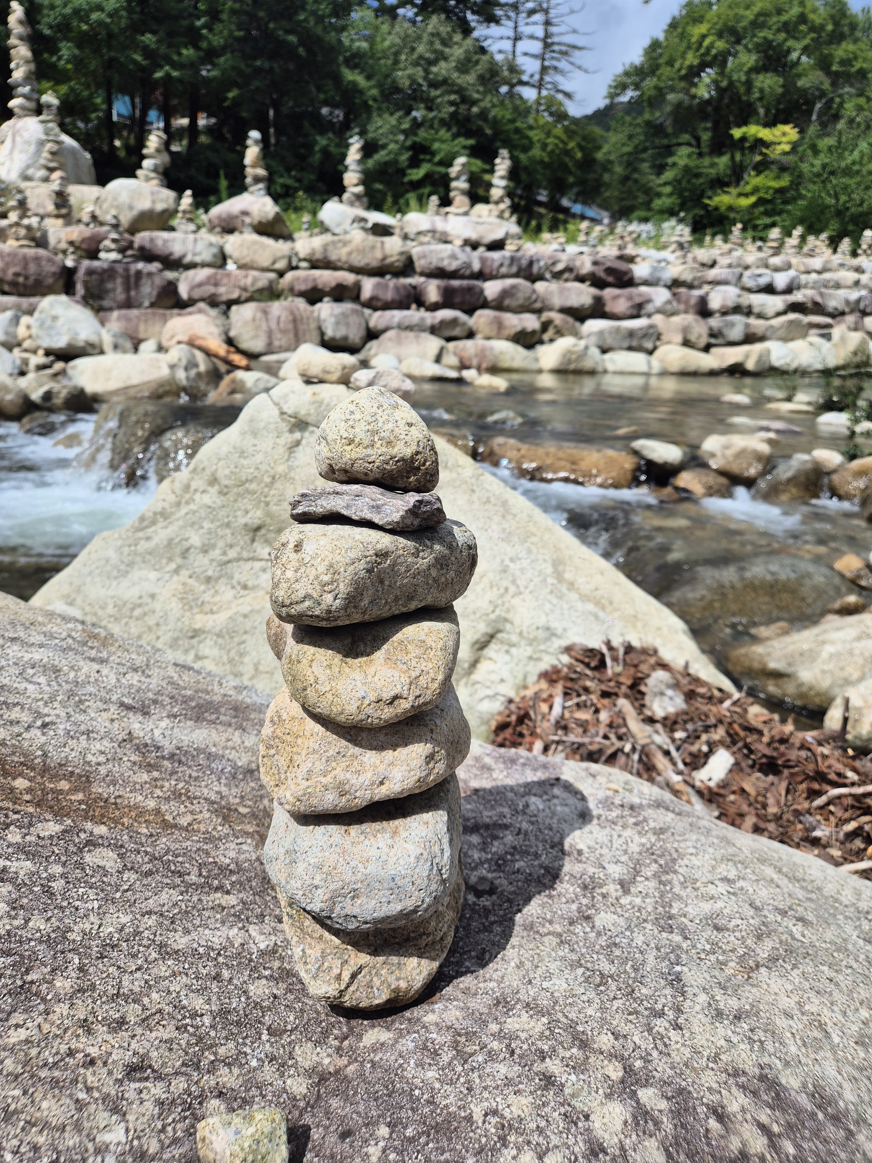 Корея вне Сеула: Сораксан, море Каннына и жизнь местных за 2 дня (5/21)