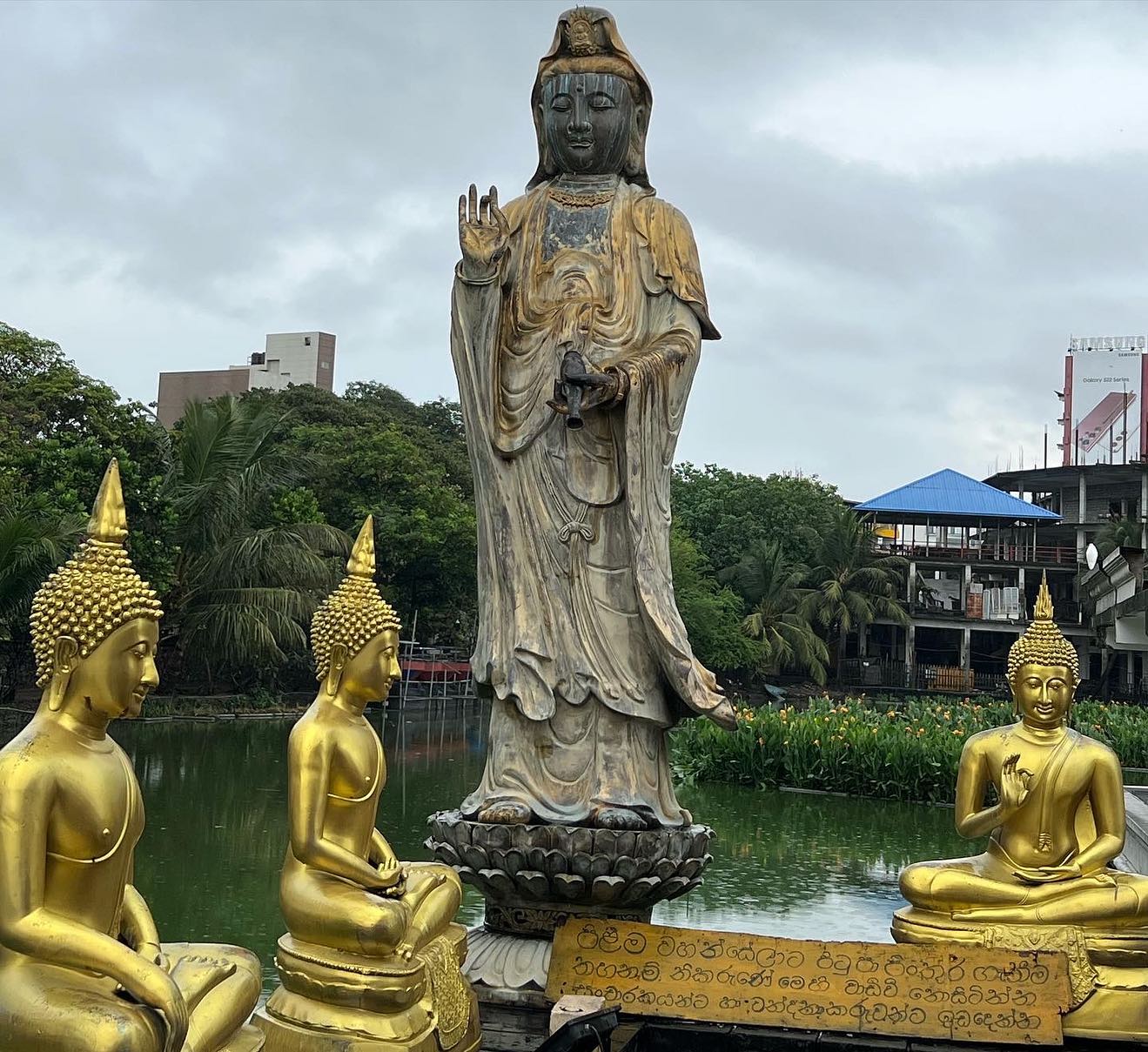 Вся Шри-Ланка за 9 дней (7/32)