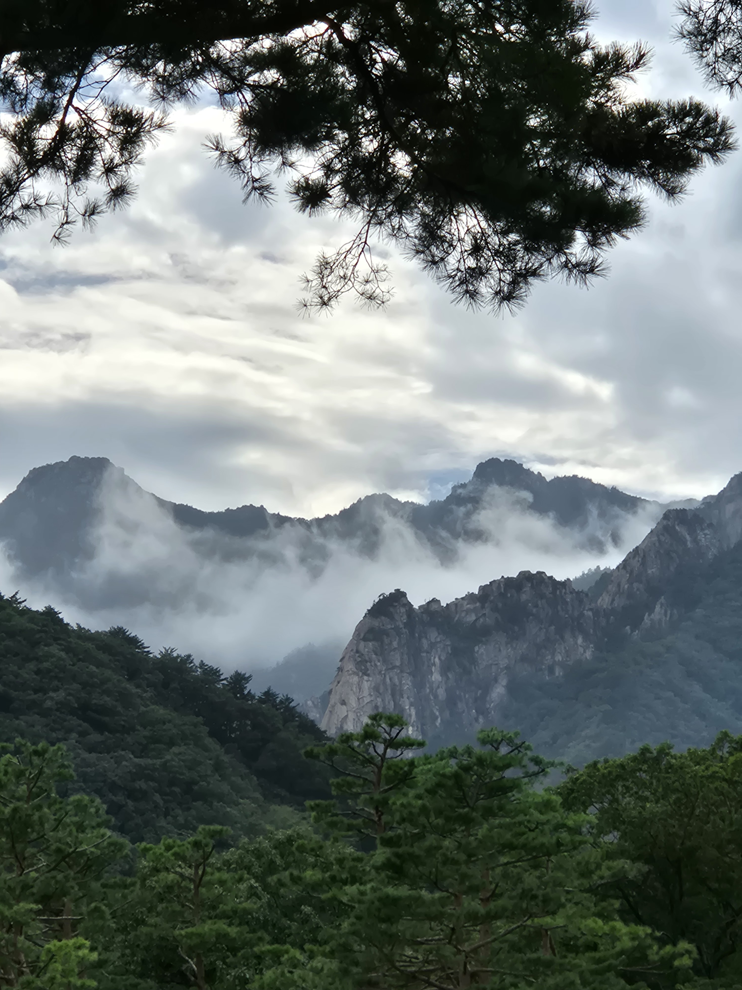 Корея вне Сеула: Сораксан, море Каннына и жизнь местных за 2 дня (15/21)