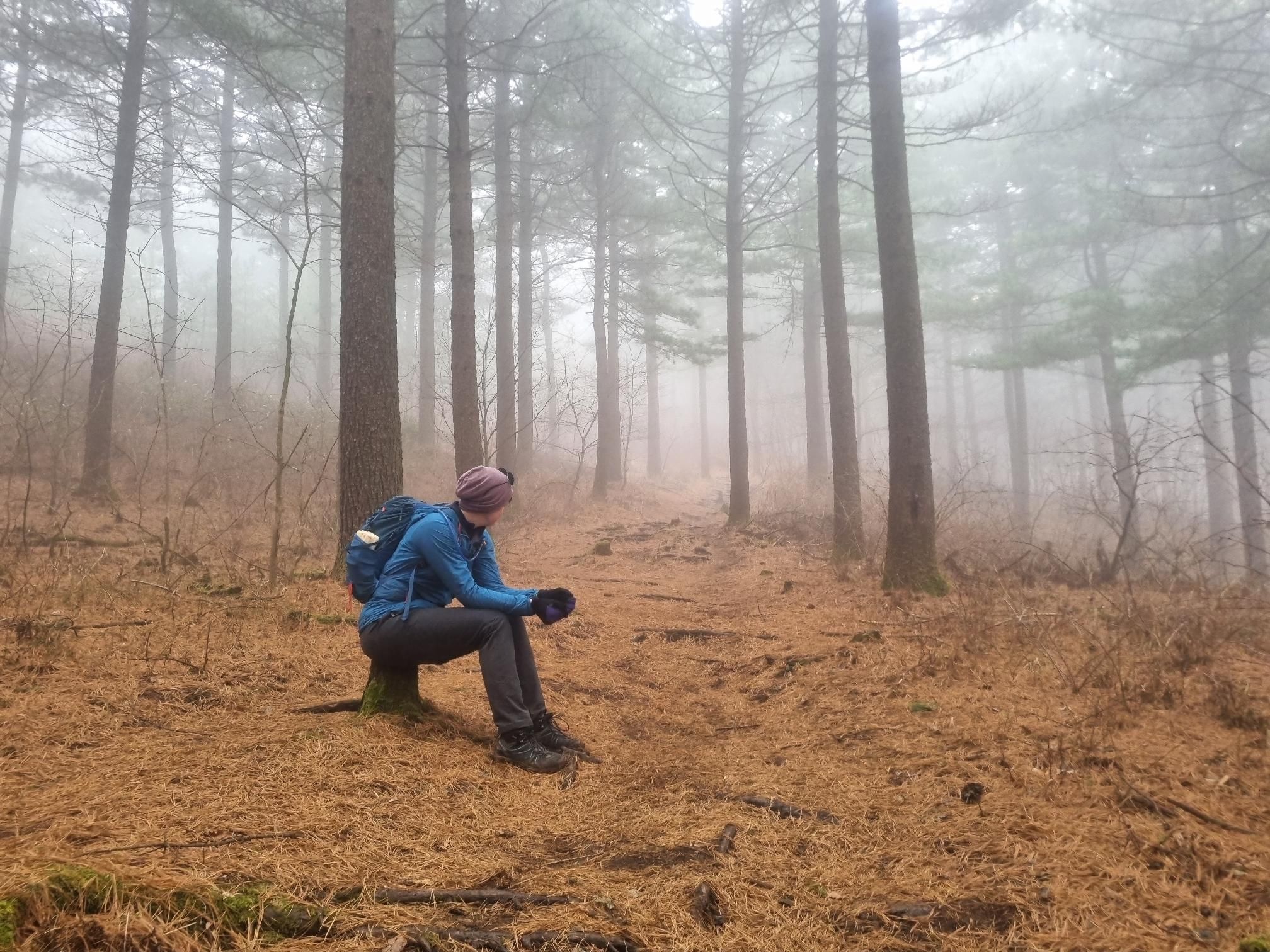 Пейзажи горной Кореи и Восточное море за один день (12/26)