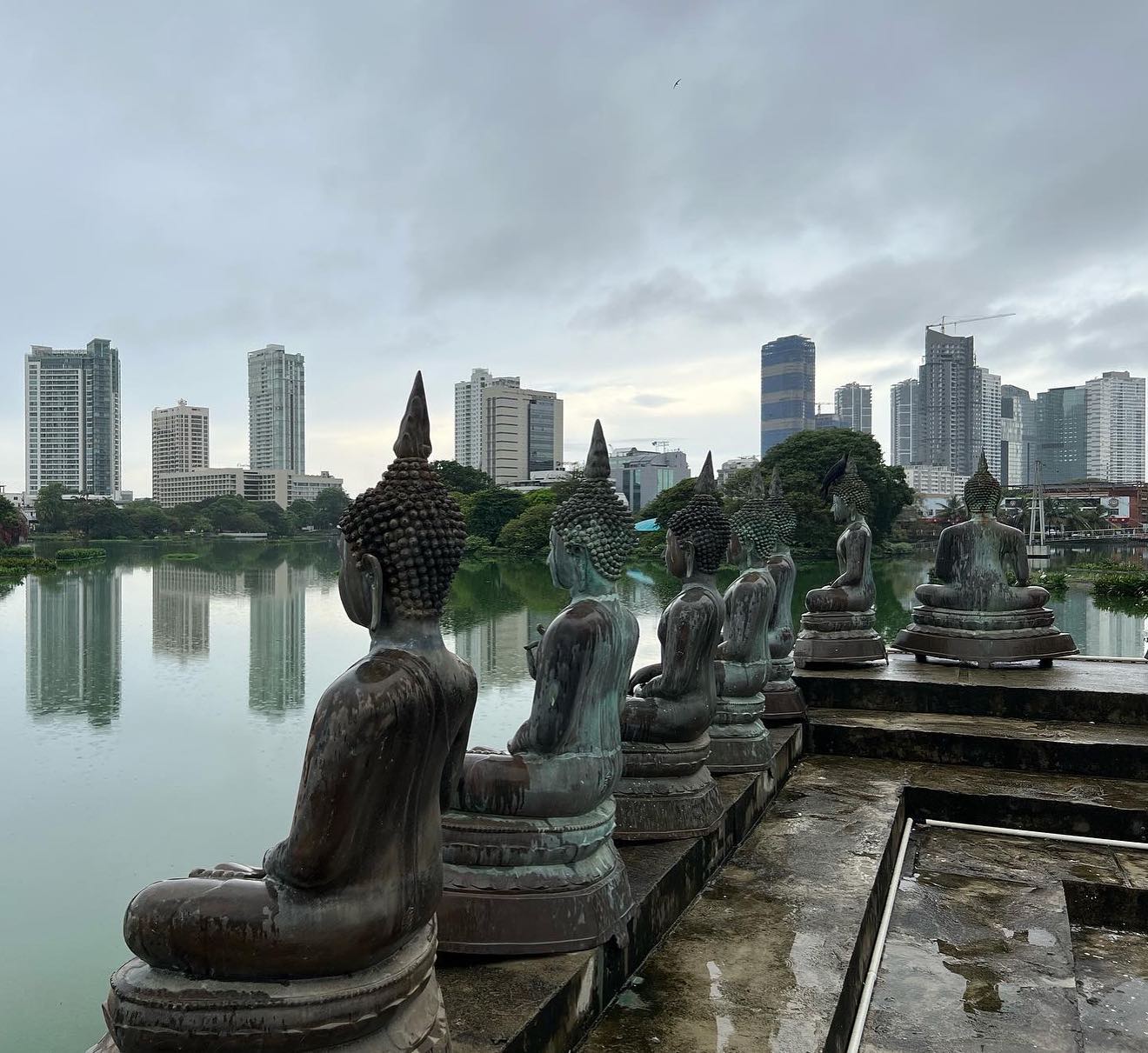 Вся Шри-Ланка за 9 дней (8/32)