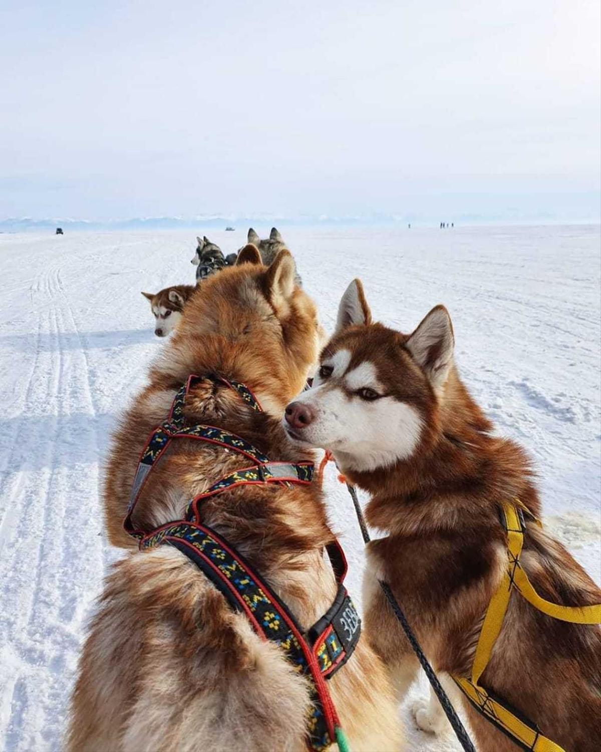 Зимняя Сказка на Байкале: Этно-Фото тур, Все включено, Комфорт/Комфорт+/Вип (11/35)