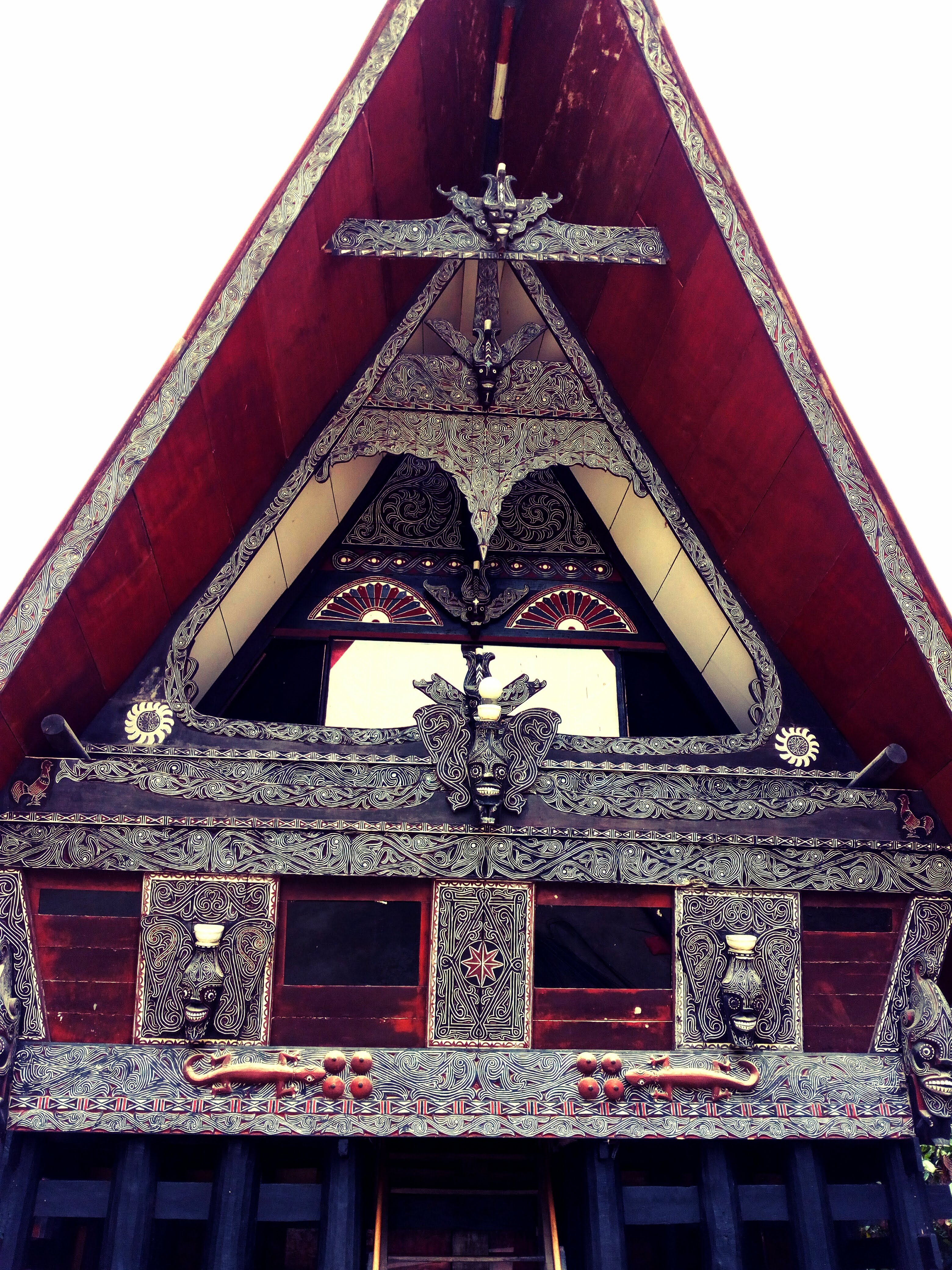 Экотрип на Суматру (3/52)