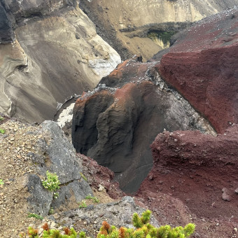 Актив-тур Вулканы, медведи, океан, Камчатский край (22/33)