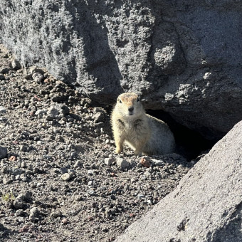 Актив-тур Вулканы, медведи, океан, Камчатский край (17/33)