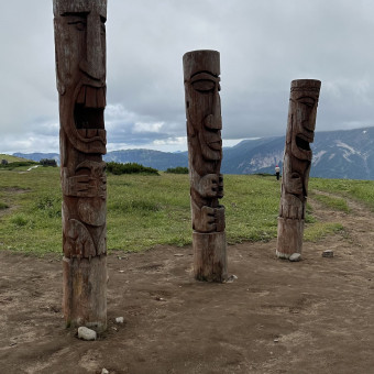 Актив-тур Вулканы, медведи, океан, Камчатский край (31/33)