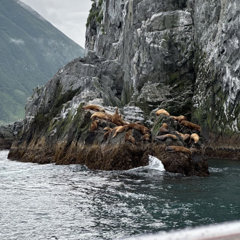 Актив-тур Вулканы, медведи, океан, Камчатский край (21/33)