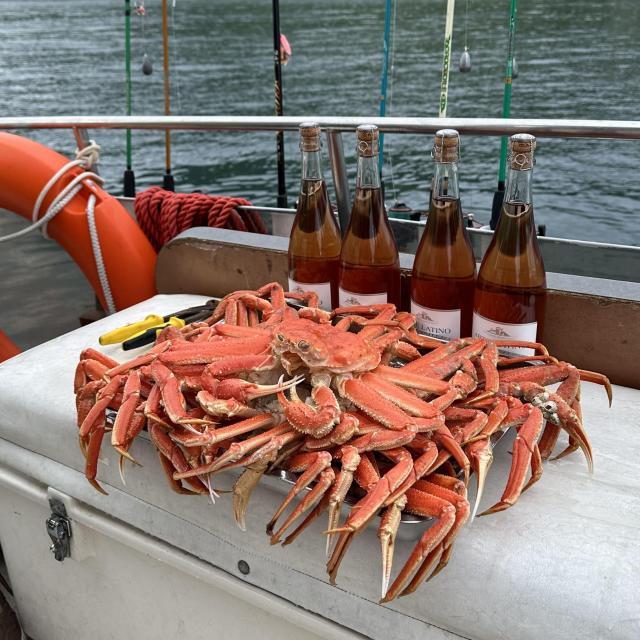 Актив-тур Вулканы, медведи, океан, Камчатский край (8/33)