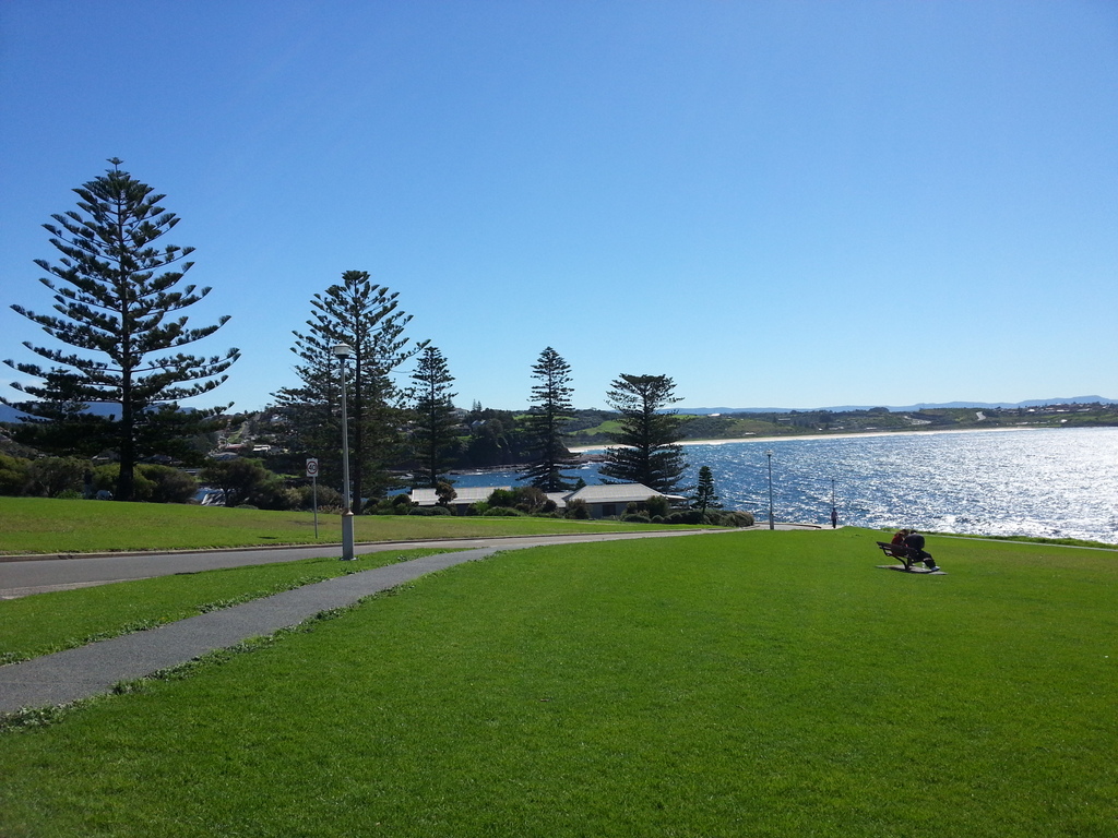 Частный тур Захватывающее путешествие вдоль южного побережья Сиднея (12/19)