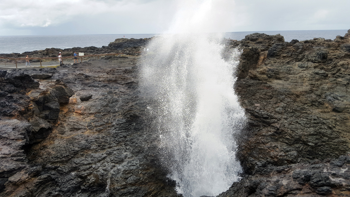 Частный тур Захватывающее путешествие вдоль южного побережья Сиднея (11/19)