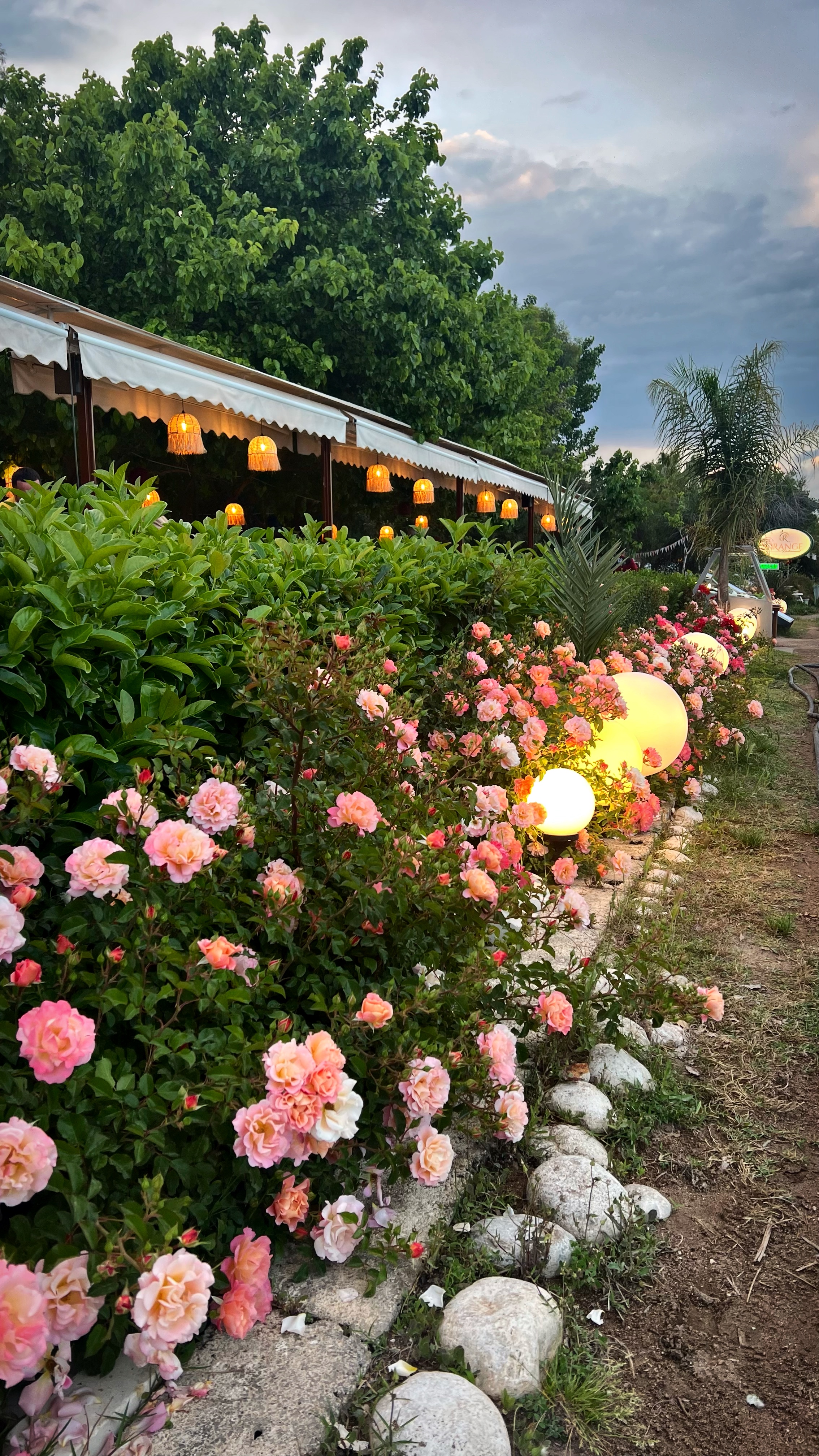 Йога-тур в Турцию. По следам Ликийской тропы, встреча с Лакшми. (56/122)