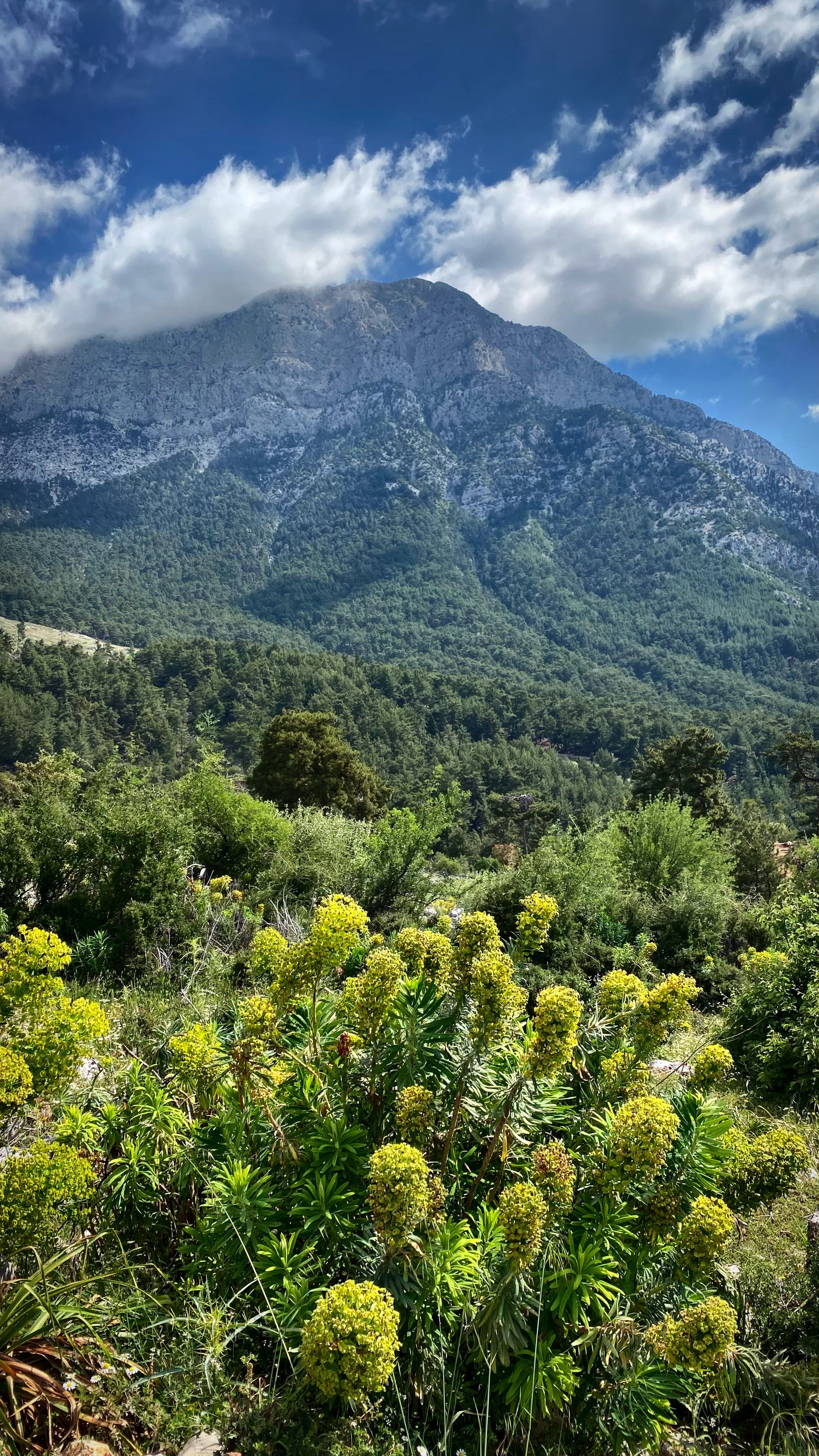 Йога-тур в Турцию. По следам Ликийской тропы, встреча с Лакшми. (39/122)