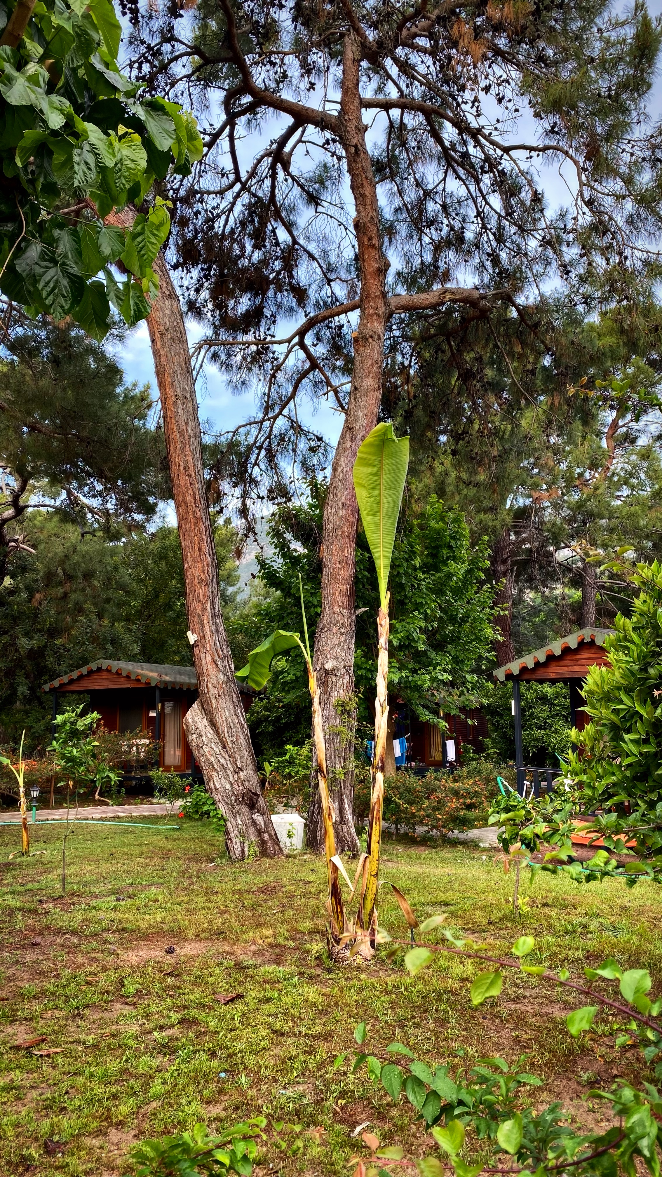 Йога-тур в Турцию. По следам Ликийской тропы, встреча с Лакшми. (7/122)