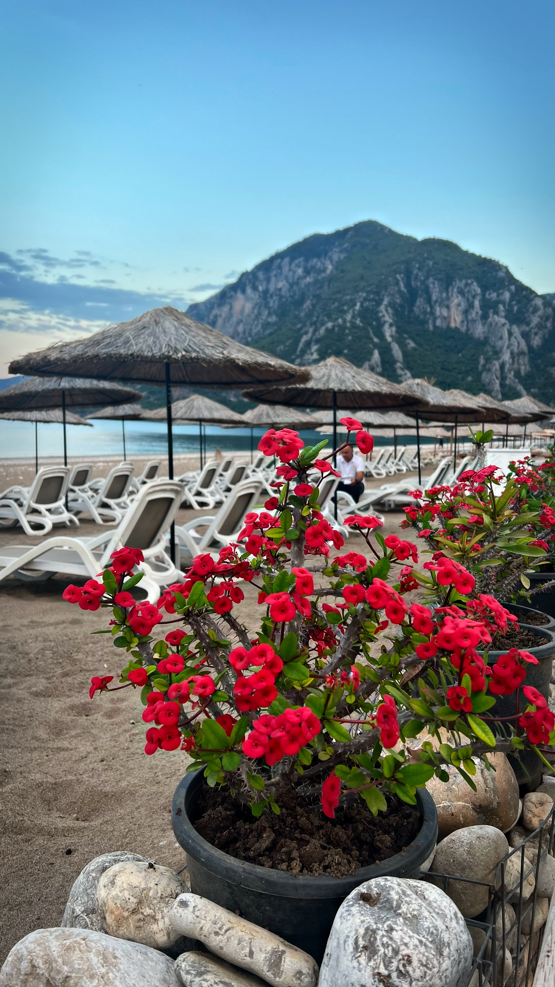 Йога-тур в Турцию. По следам Ликийской тропы, встреча с Лакшми. (71/122)