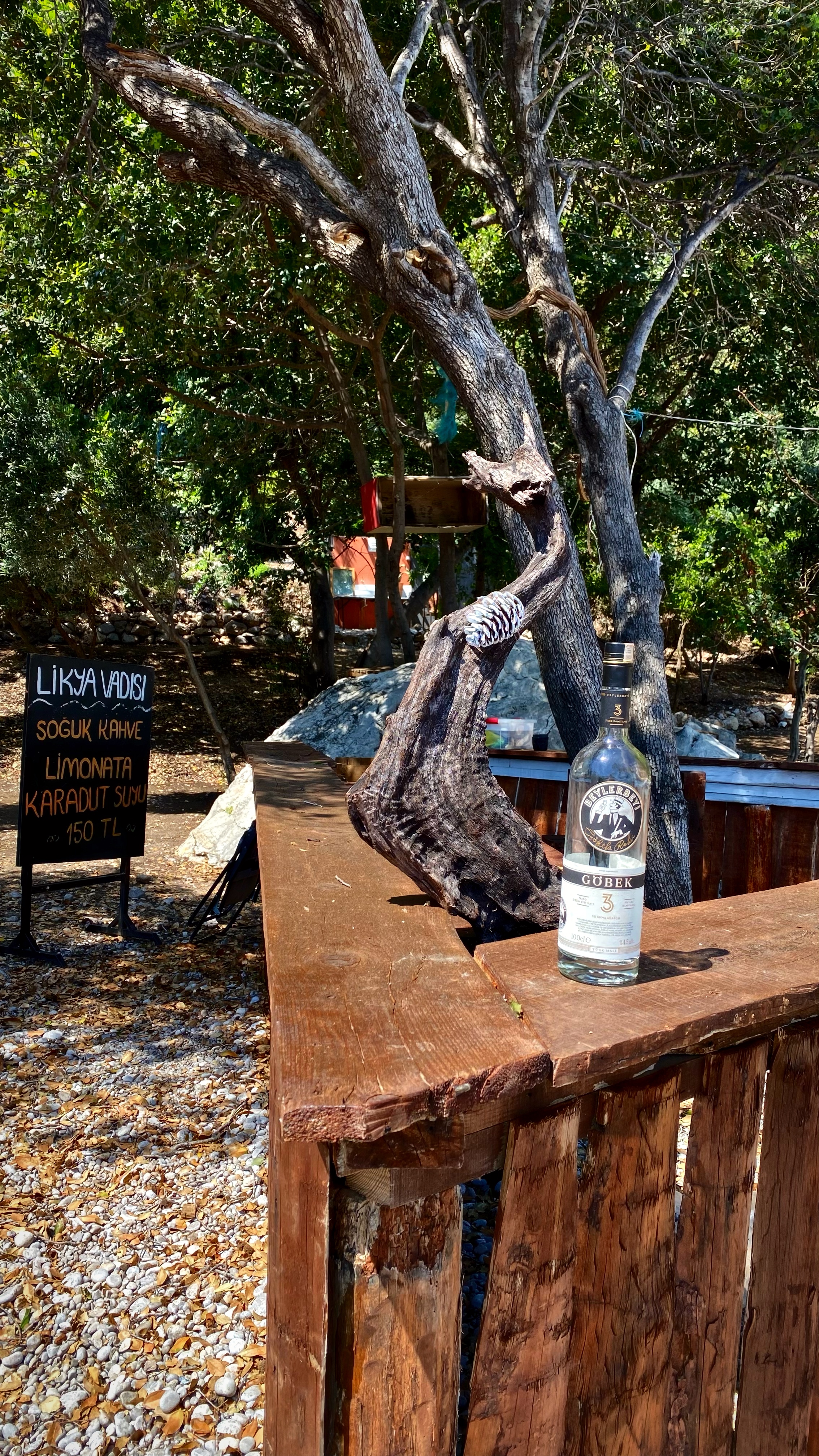 Йога-тур в Турцию. По следам Ликийской тропы, встреча с Лакшми. (98/122)