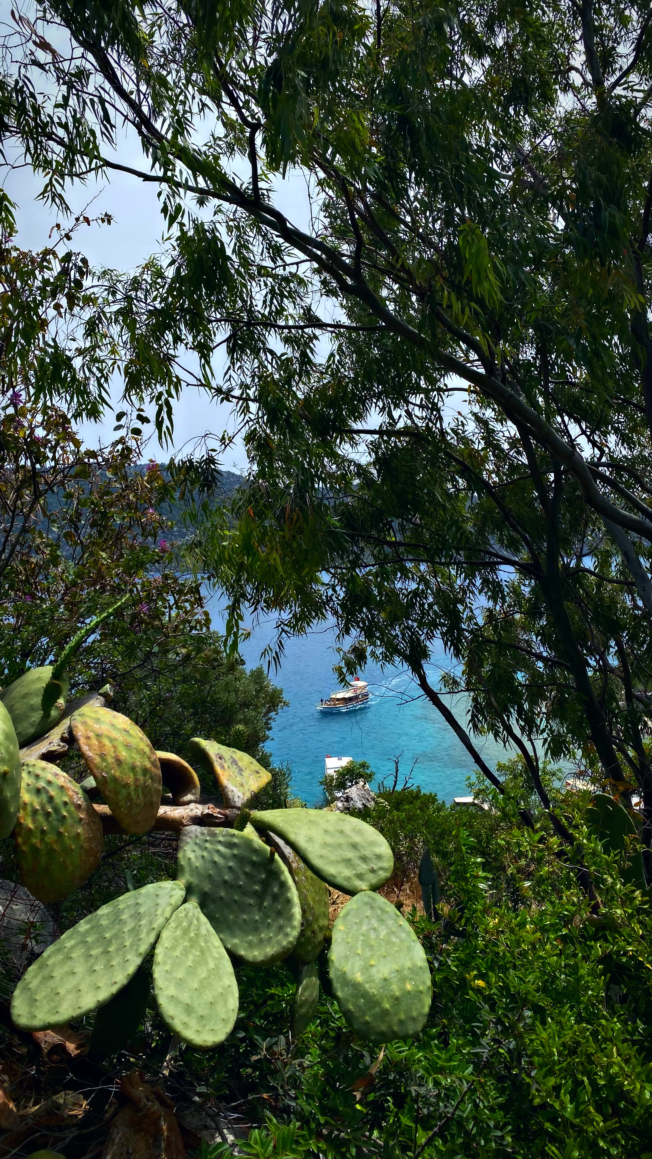Йога-тур в Турцию. По следам Ликийской тропы, встреча с Лакшми. (23/122)