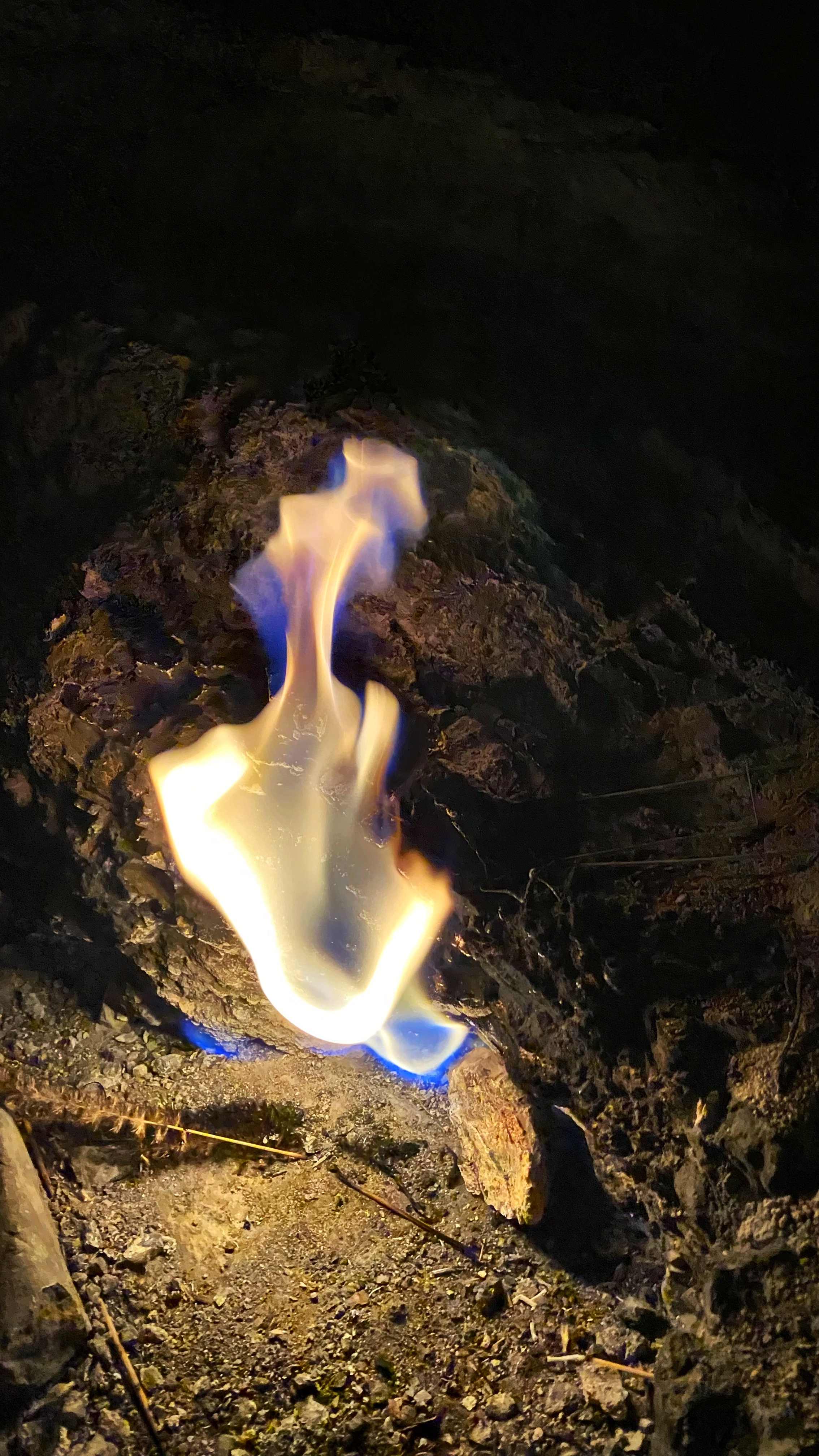 Йога-тур в Турцию. По следам Ликийской тропы, встреча с Лакшми. (94/122)