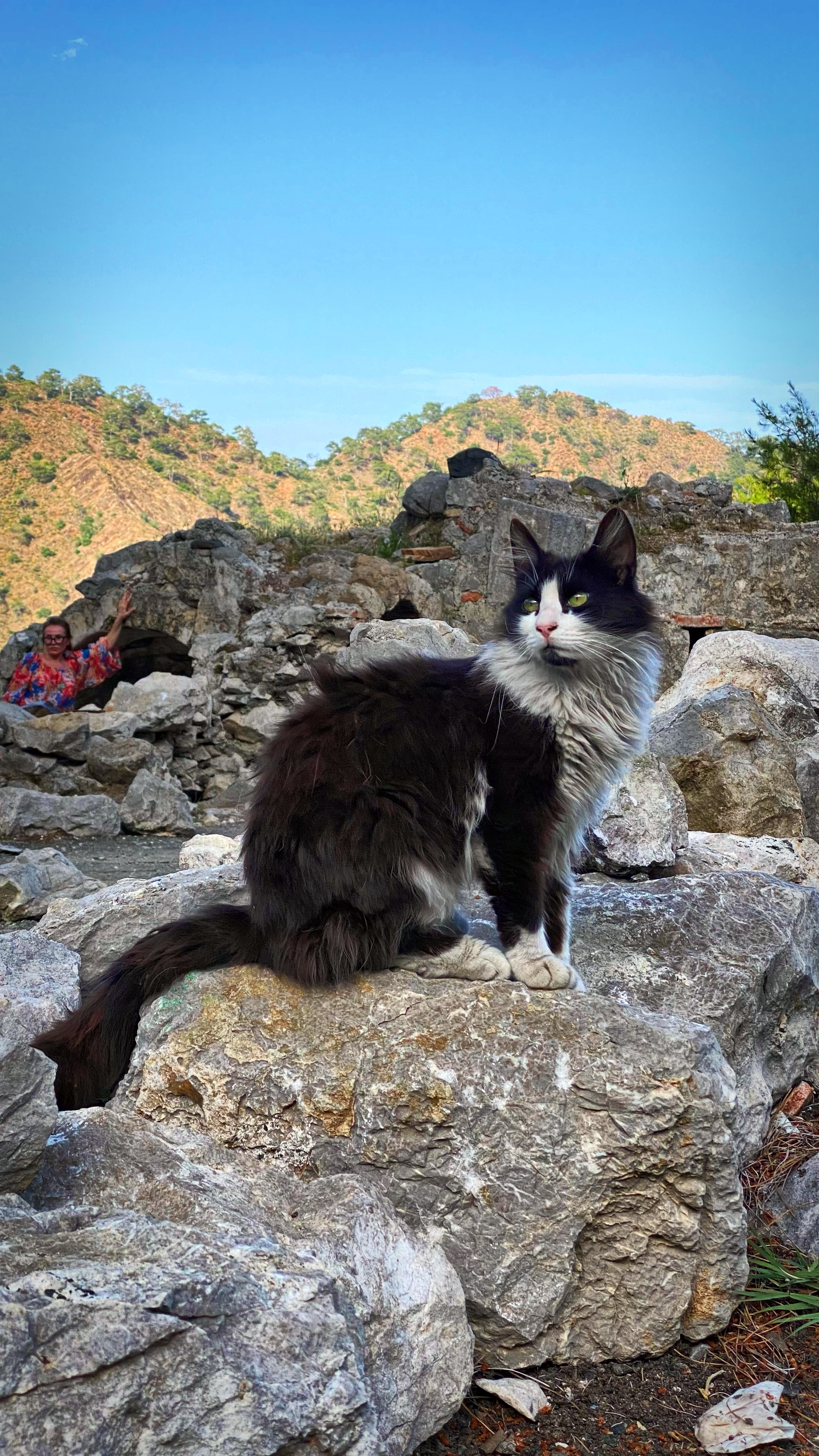 Йога-тур в Турцию. По следам Ликийской тропы, встреча с Лакшми. (88/122)