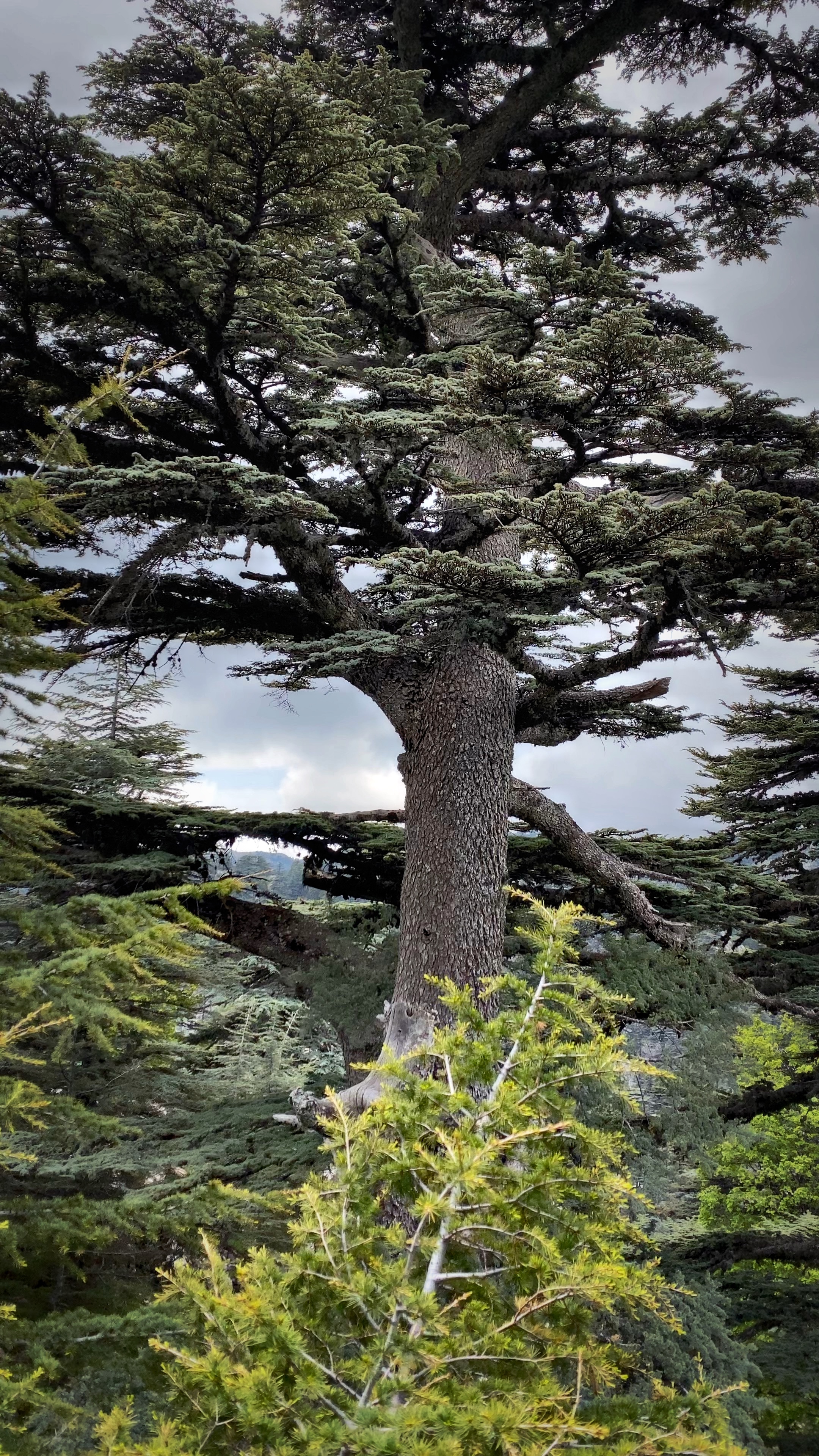 Йога-тур в Турцию. По следам Ликийской тропы, встреча с Лакшми. (49/122)