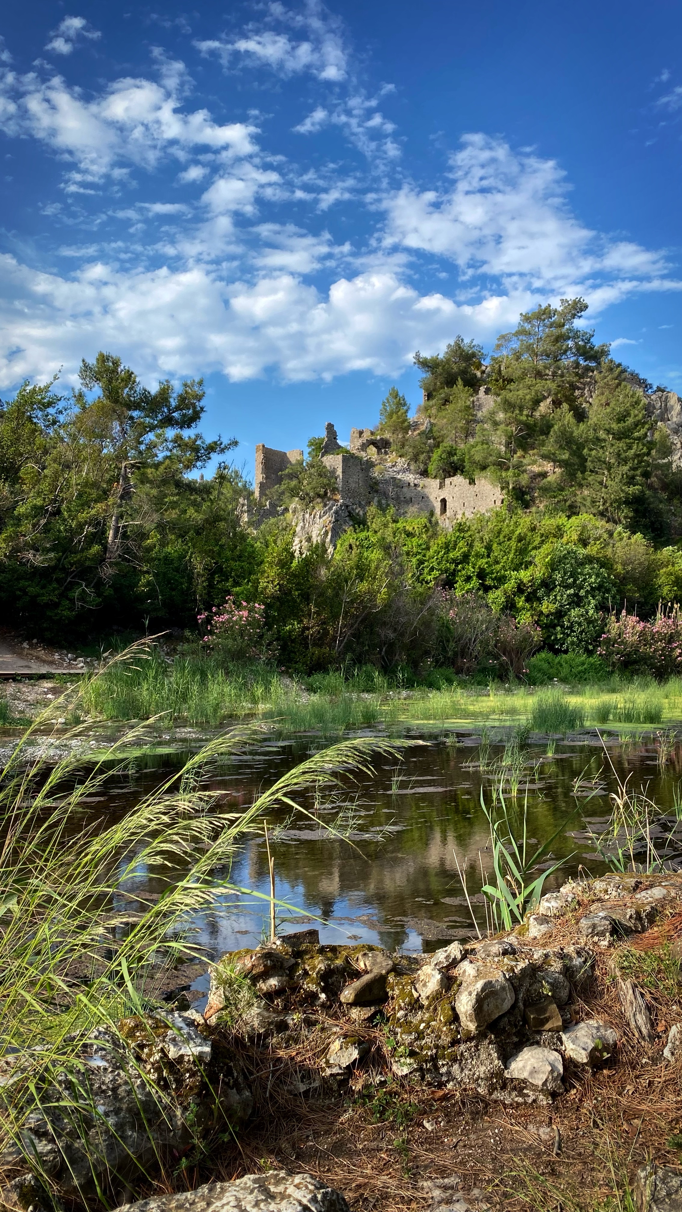 Йога-тур в Турцию. По следам Ликийской тропы, встреча с Лакшми. (97/122)